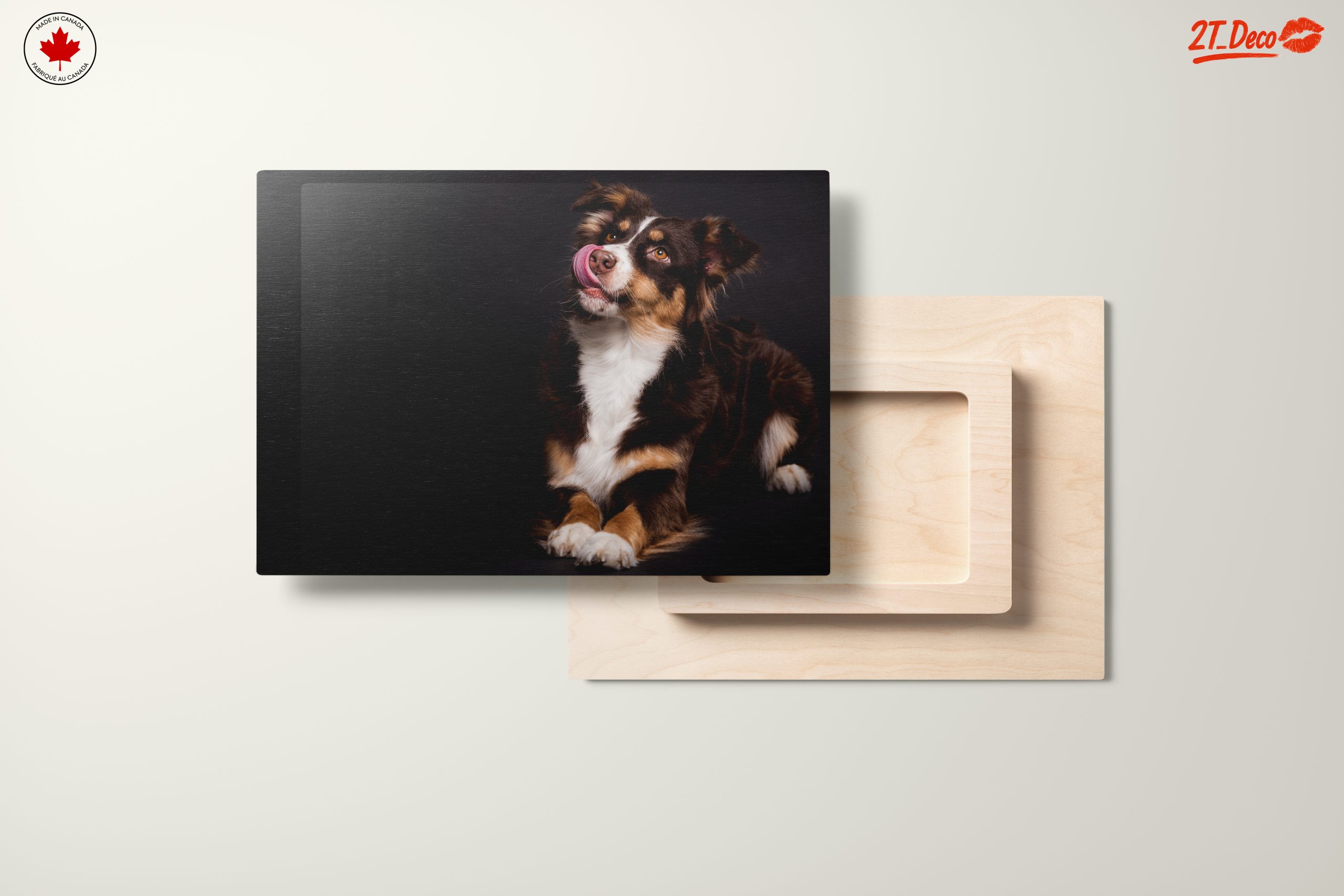 Playful Dog Portrait on Dark Background - Image 11