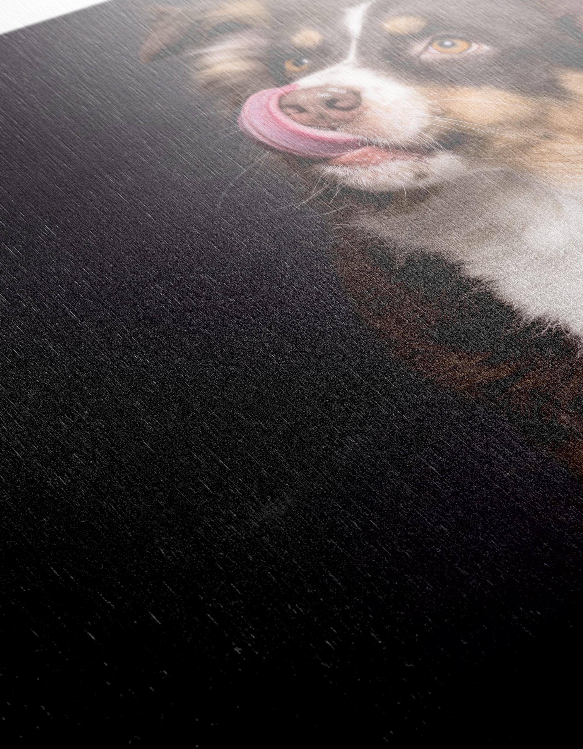 Playful Dog Portrait on Dark Background - Image 12