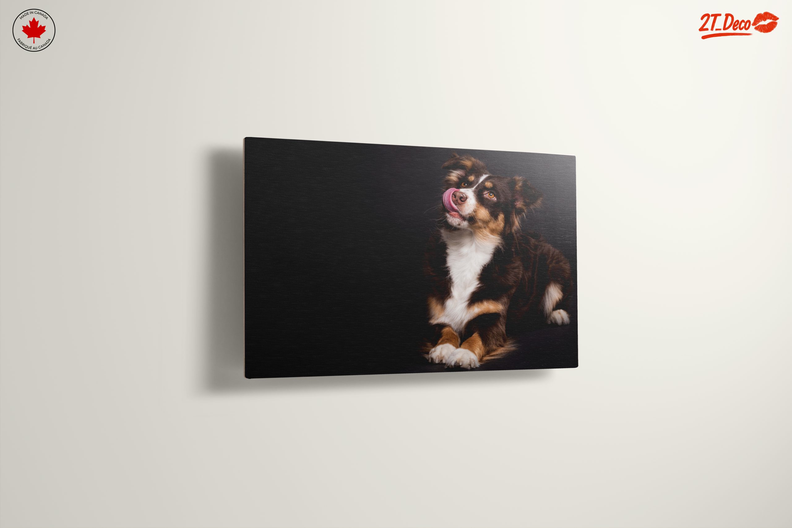 Playful Dog Portrait on Dark Background - Image 13