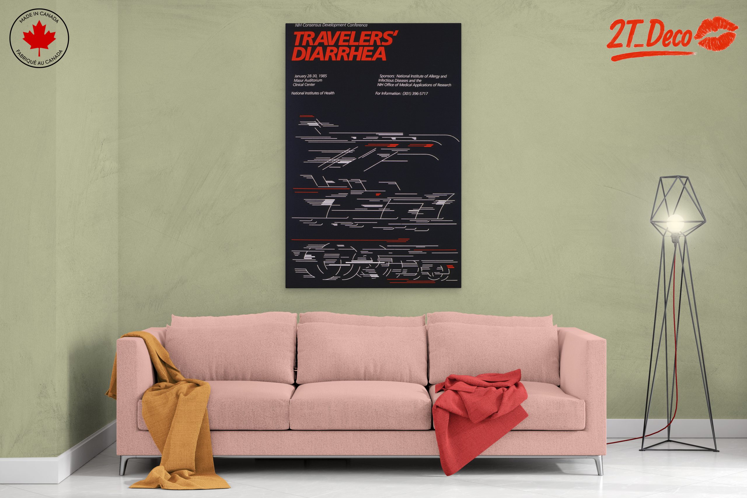 Travelers' Diarrhea Health Awareness Poster - Image 2