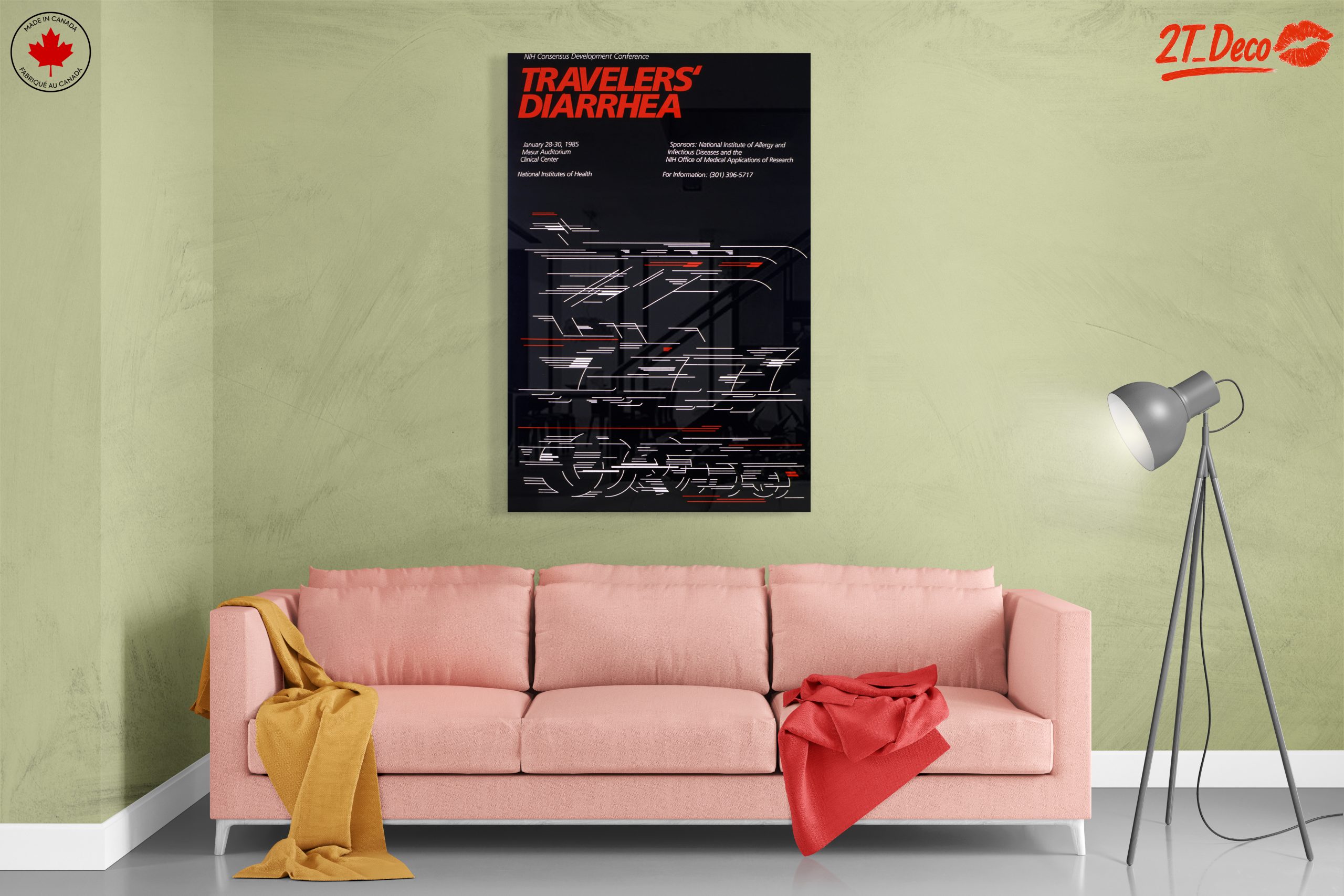 Travelers' Diarrhea Health Awareness Poster - Image 7