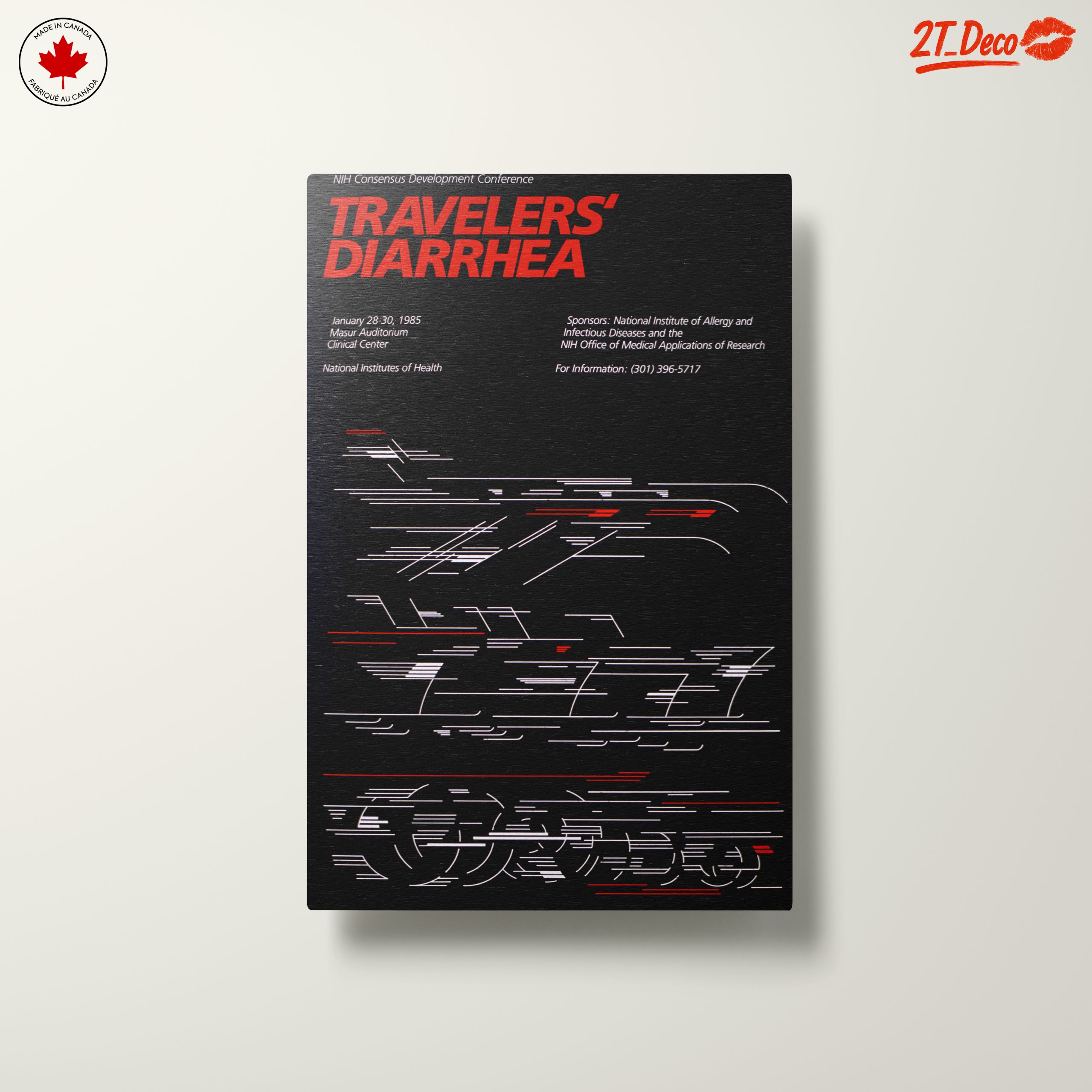 Travelers' Diarrhea Health Awareness Poster - Image 10