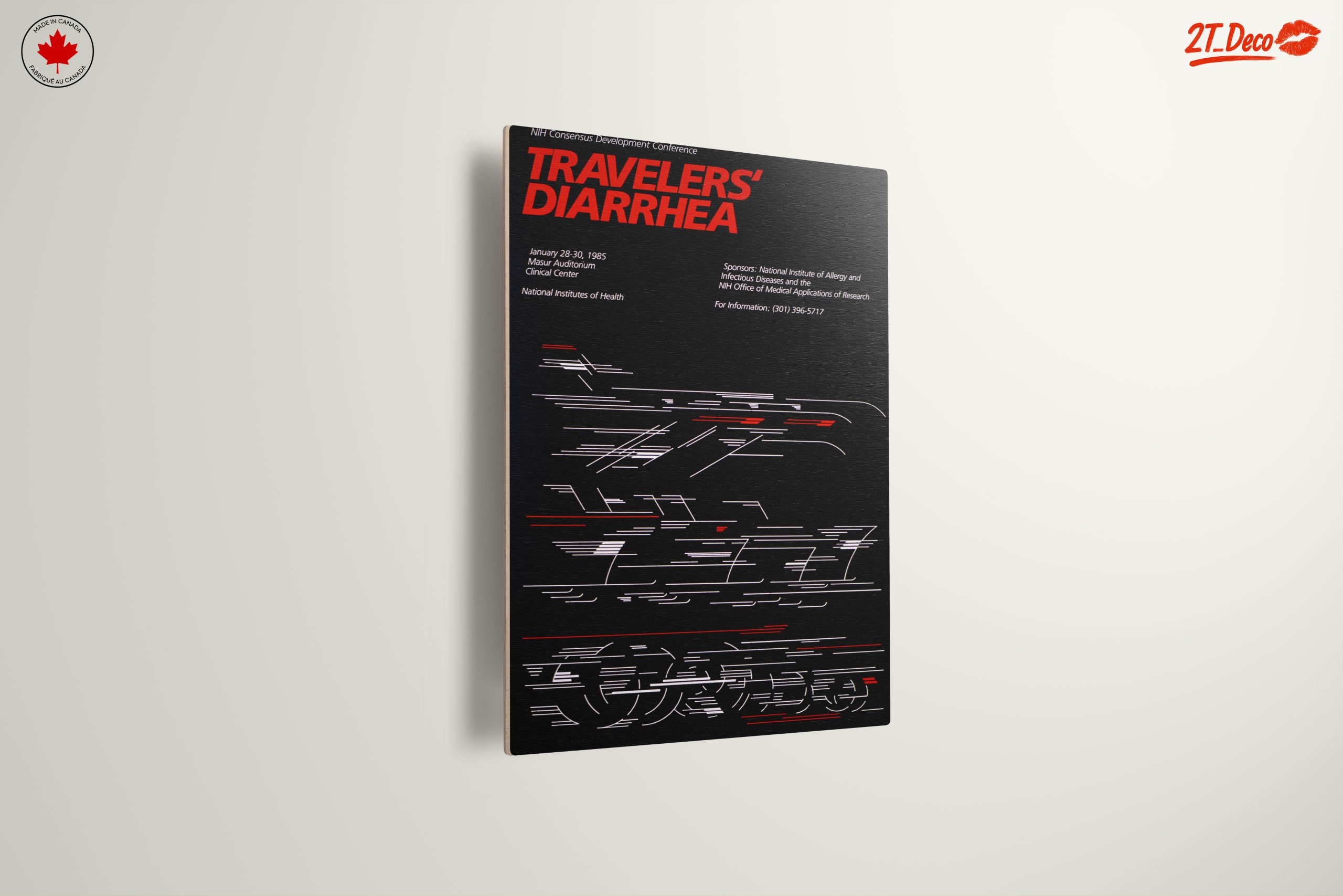 Travelers' Diarrhea Health Awareness Poster - Image 13
