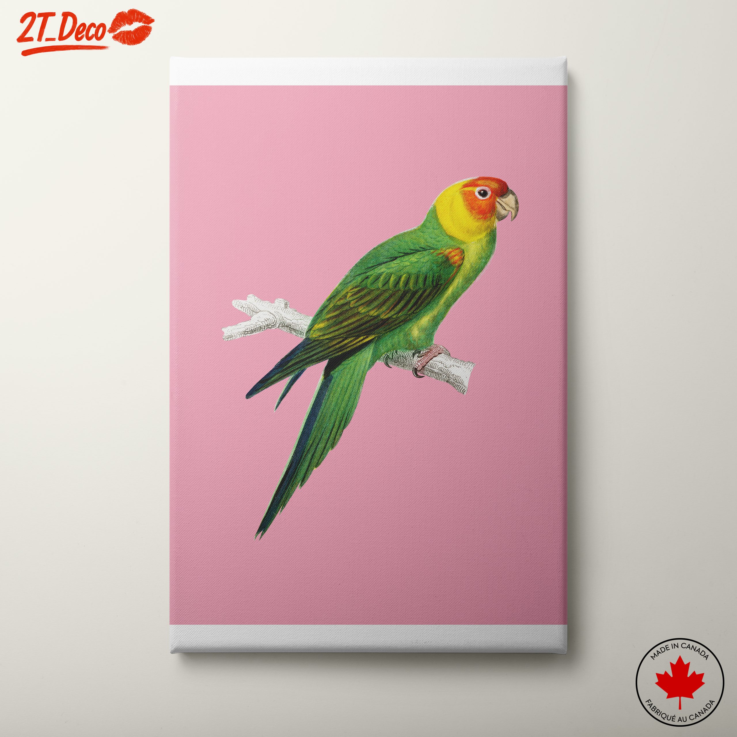 Vibrant Parrot Illustration on Pink Background
