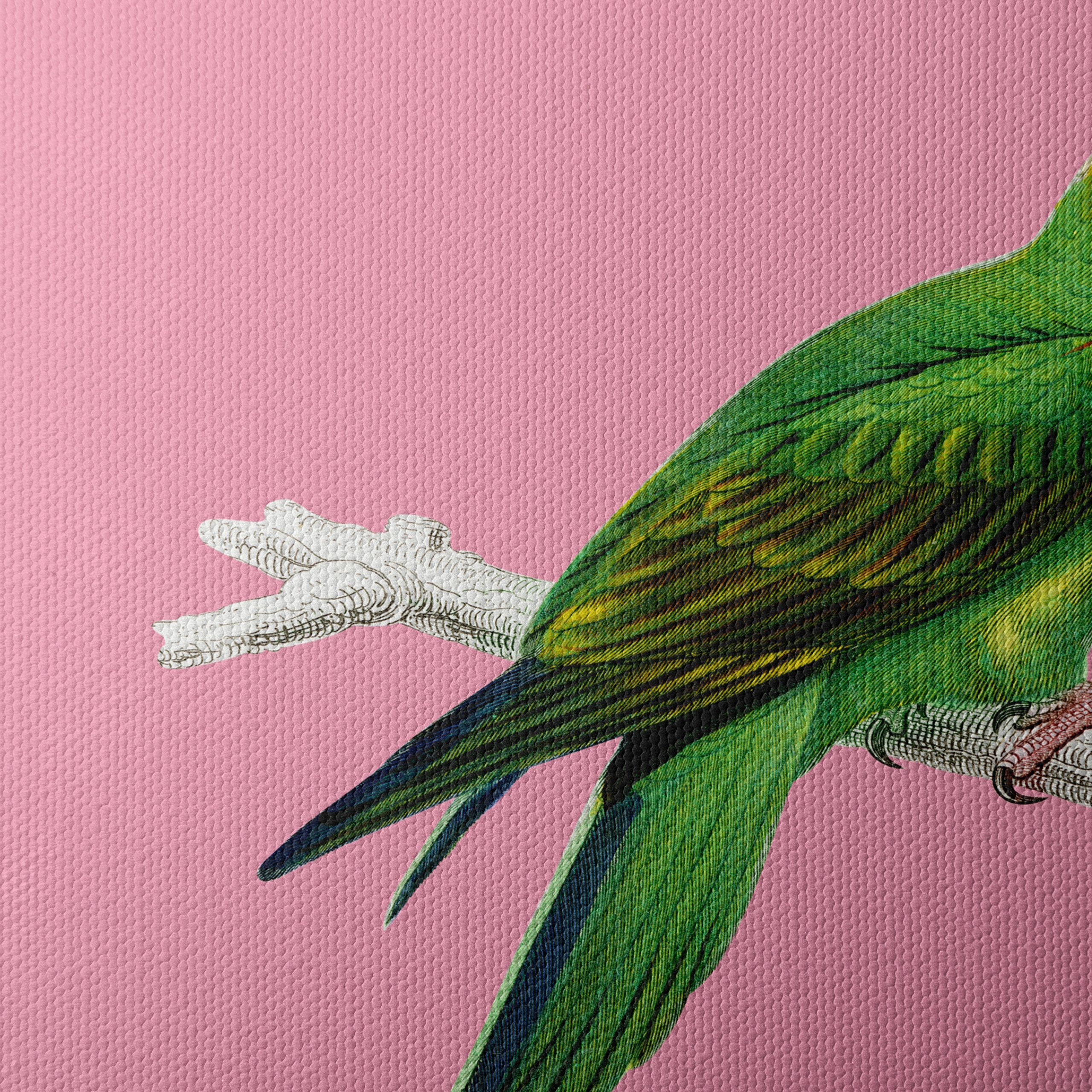 Vibrant Parrot Illustration on Pink Background - Image 4