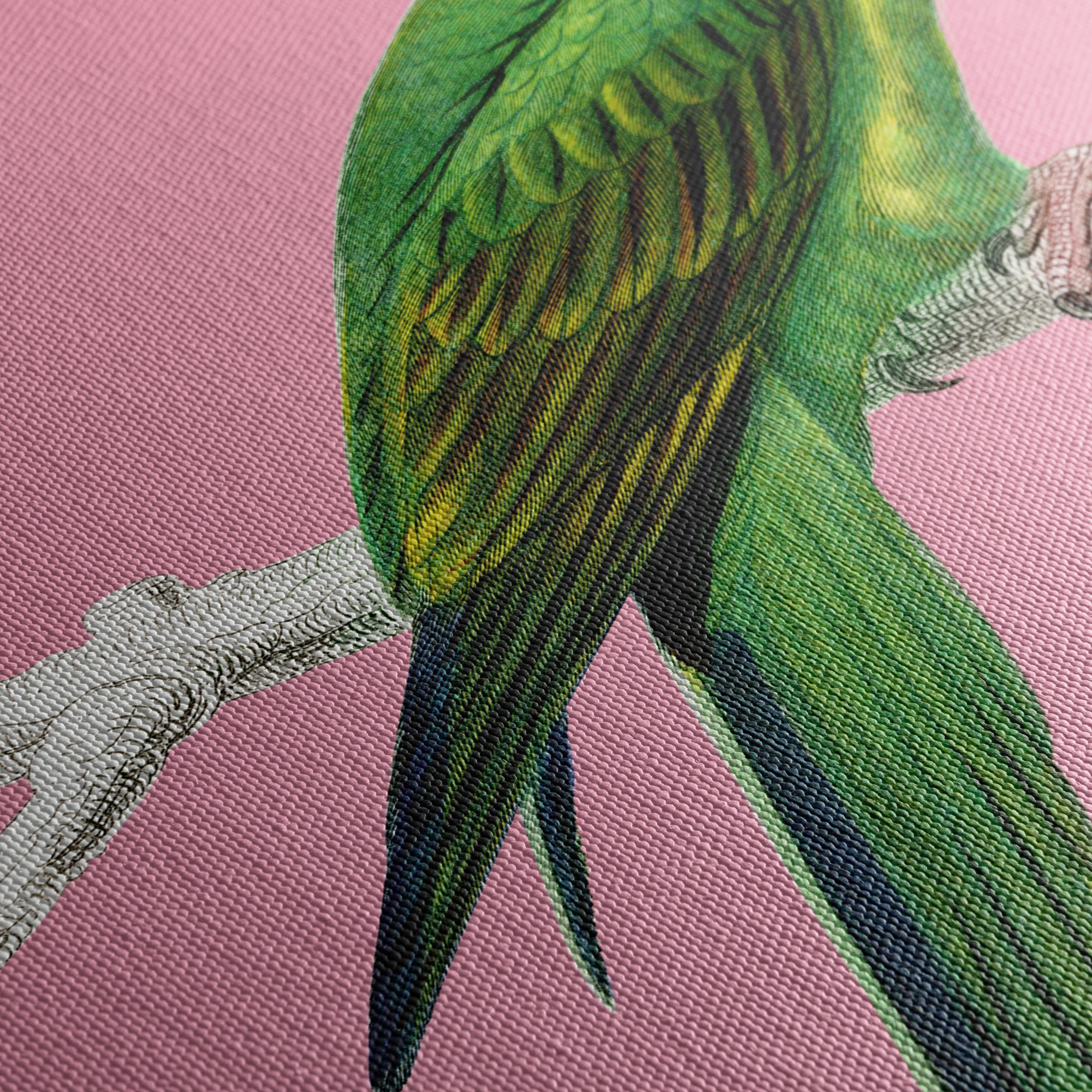 Vibrant Parrot Illustration on Pink Background - Image 5