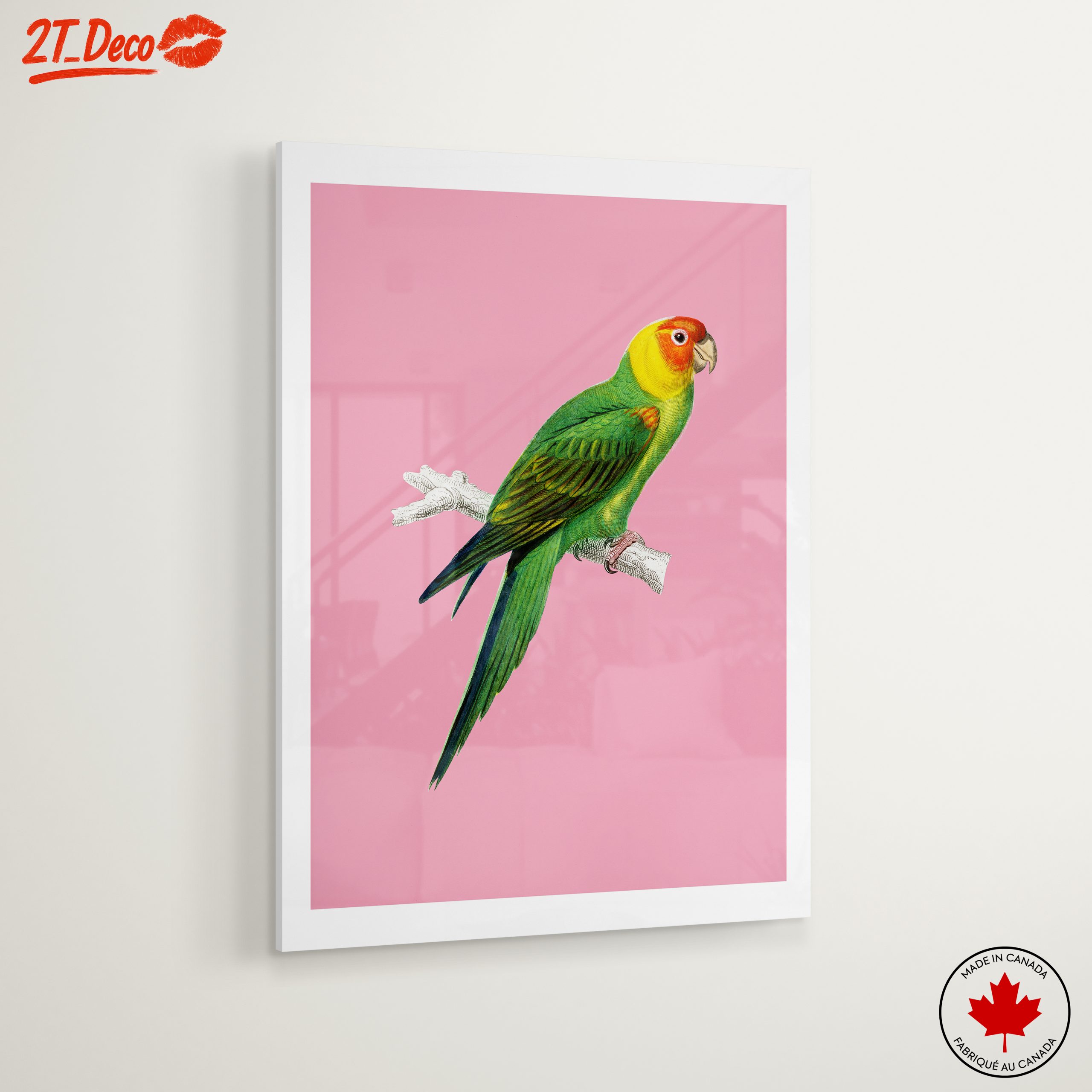 Vibrant Parrot Illustration on Pink Background - Image 6
