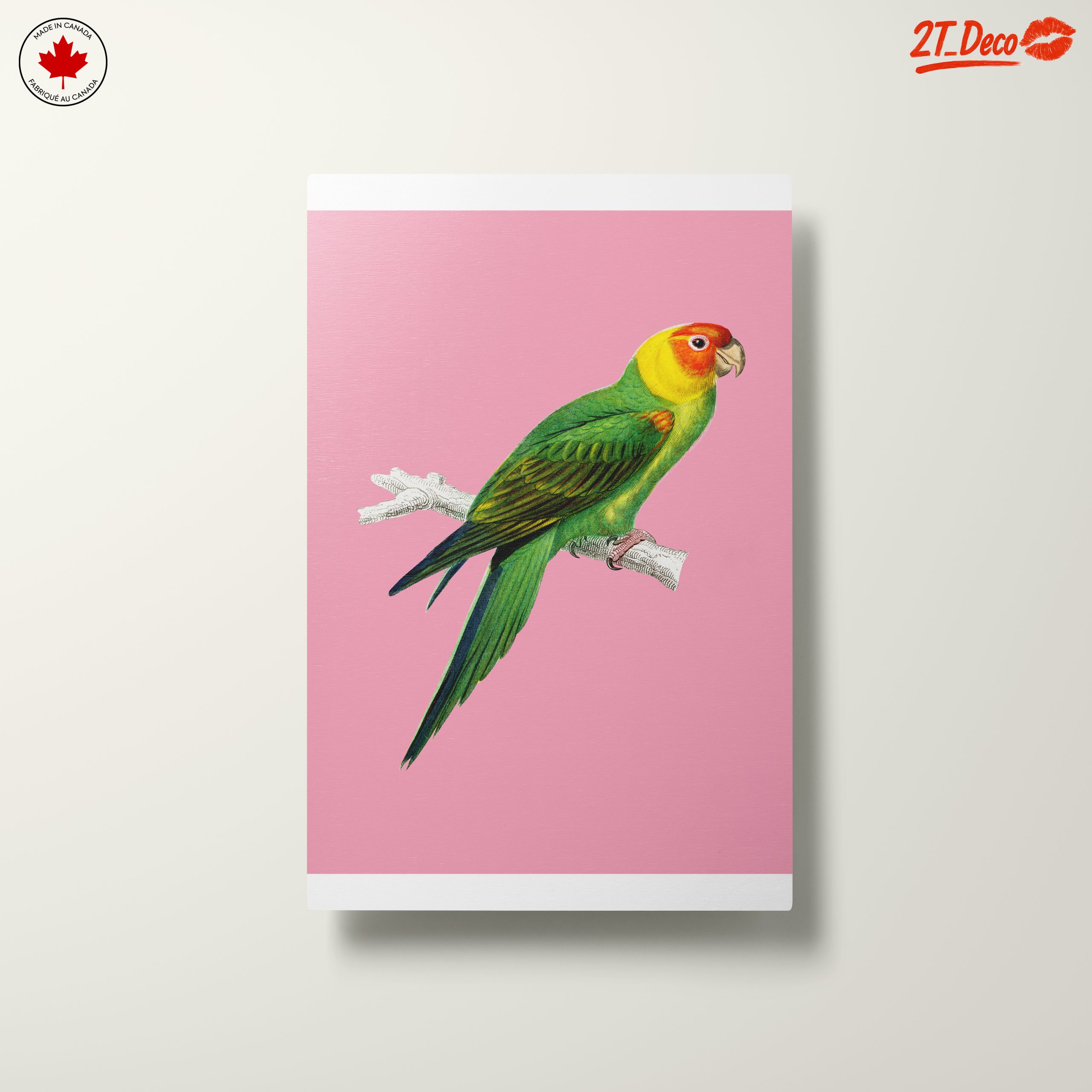 Vibrant Parrot Illustration on Pink Background - Image 10