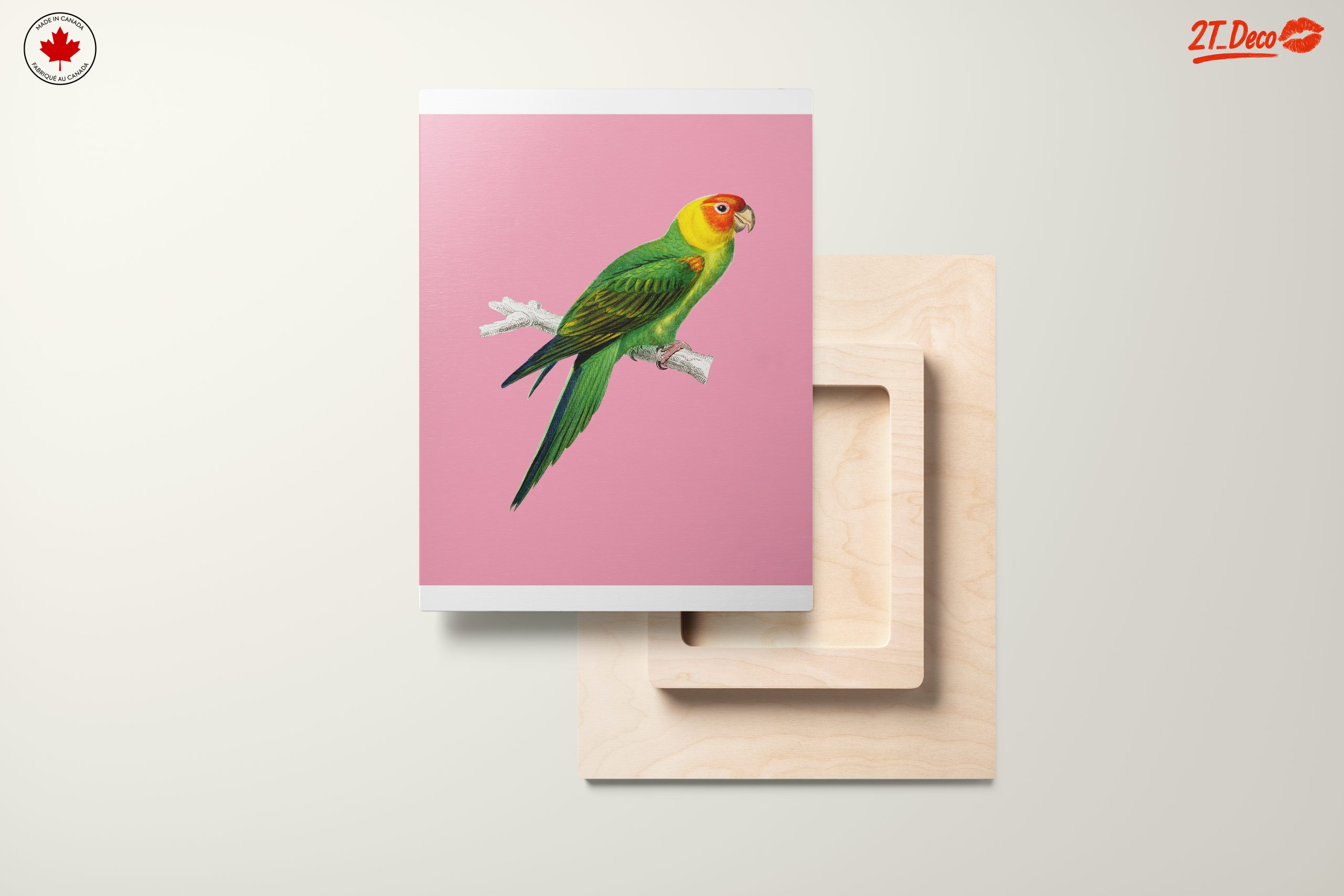 Vibrant Parrot Illustration on Pink Background - Image 11