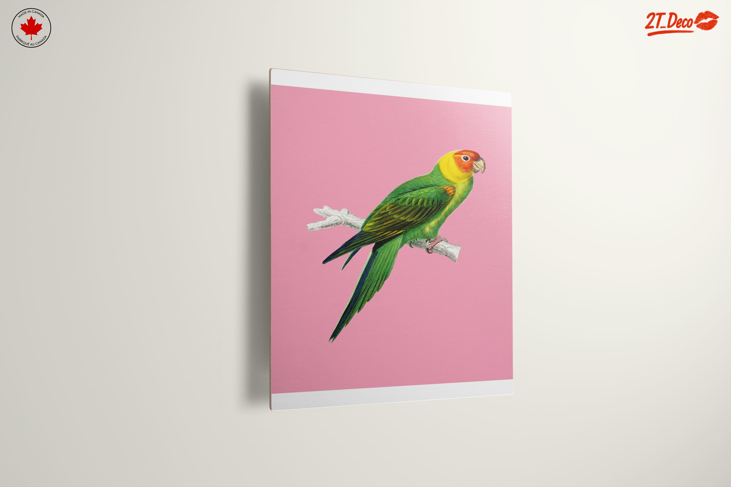 Vibrant Parrot Illustration on Pink Background - Image 13