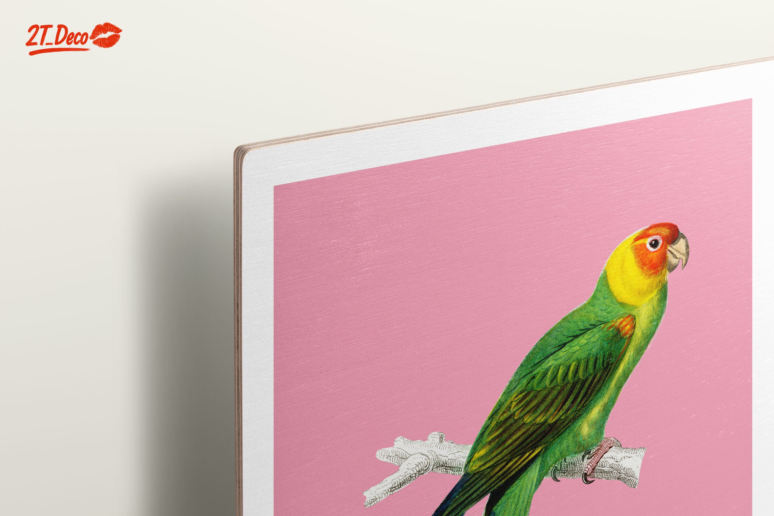 Vibrant Parrot Illustration on Pink Background - Image 15