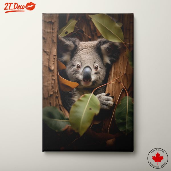 Koala In Lush Green Habitat Decor