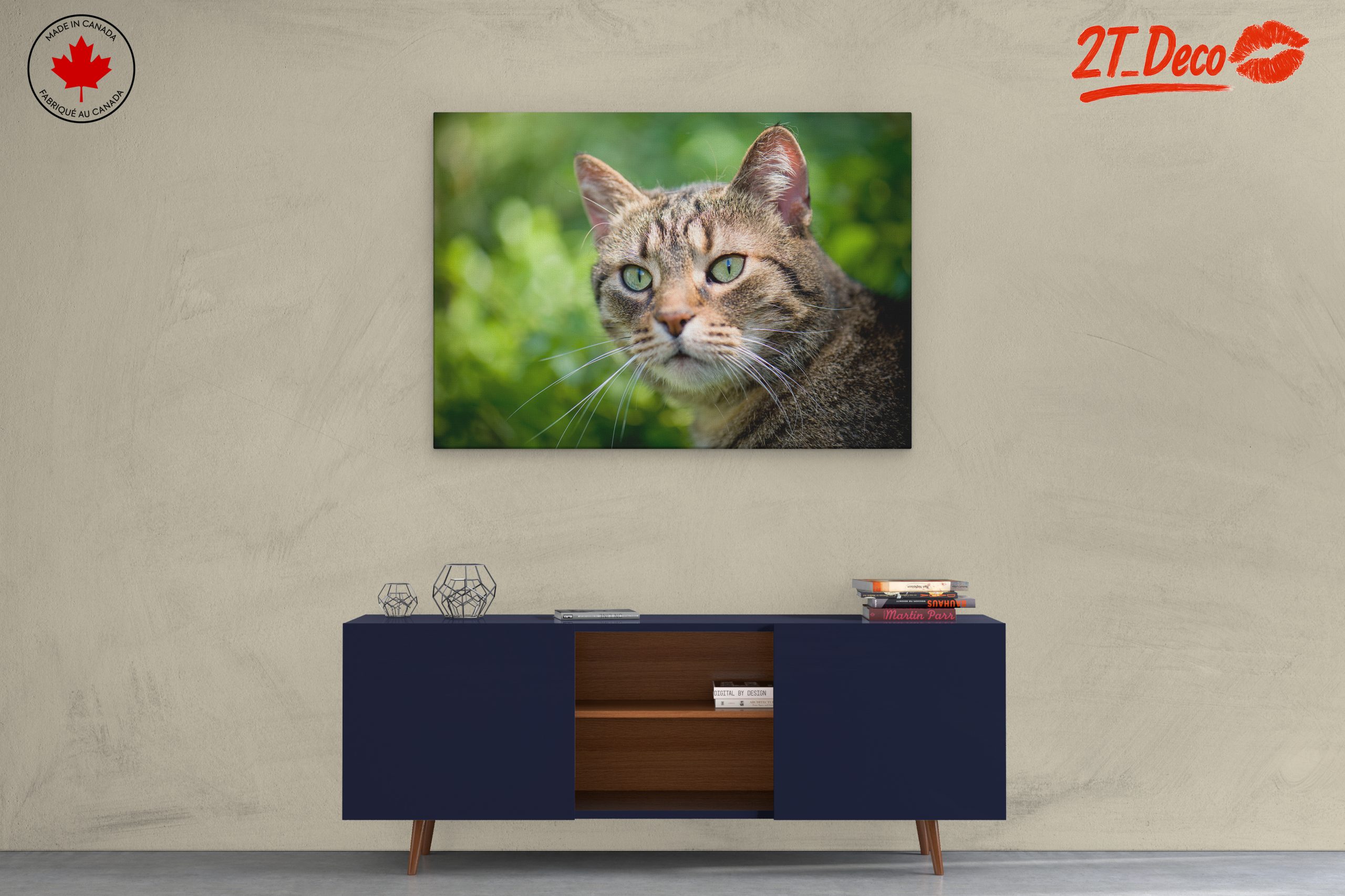 Stunning Cat Portrait In Nature - Image 3