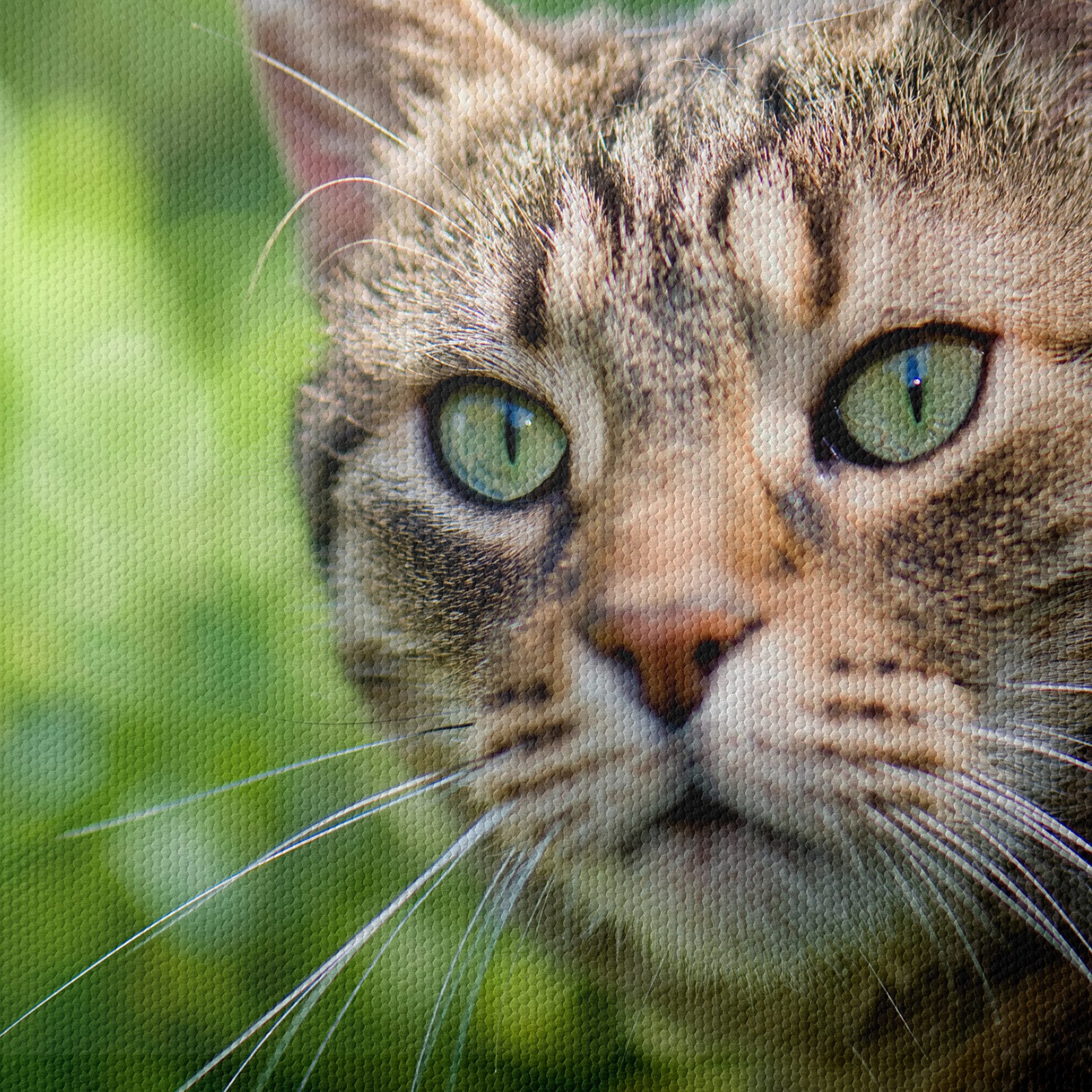 Stunning Cat Portrait In Nature - Image 4