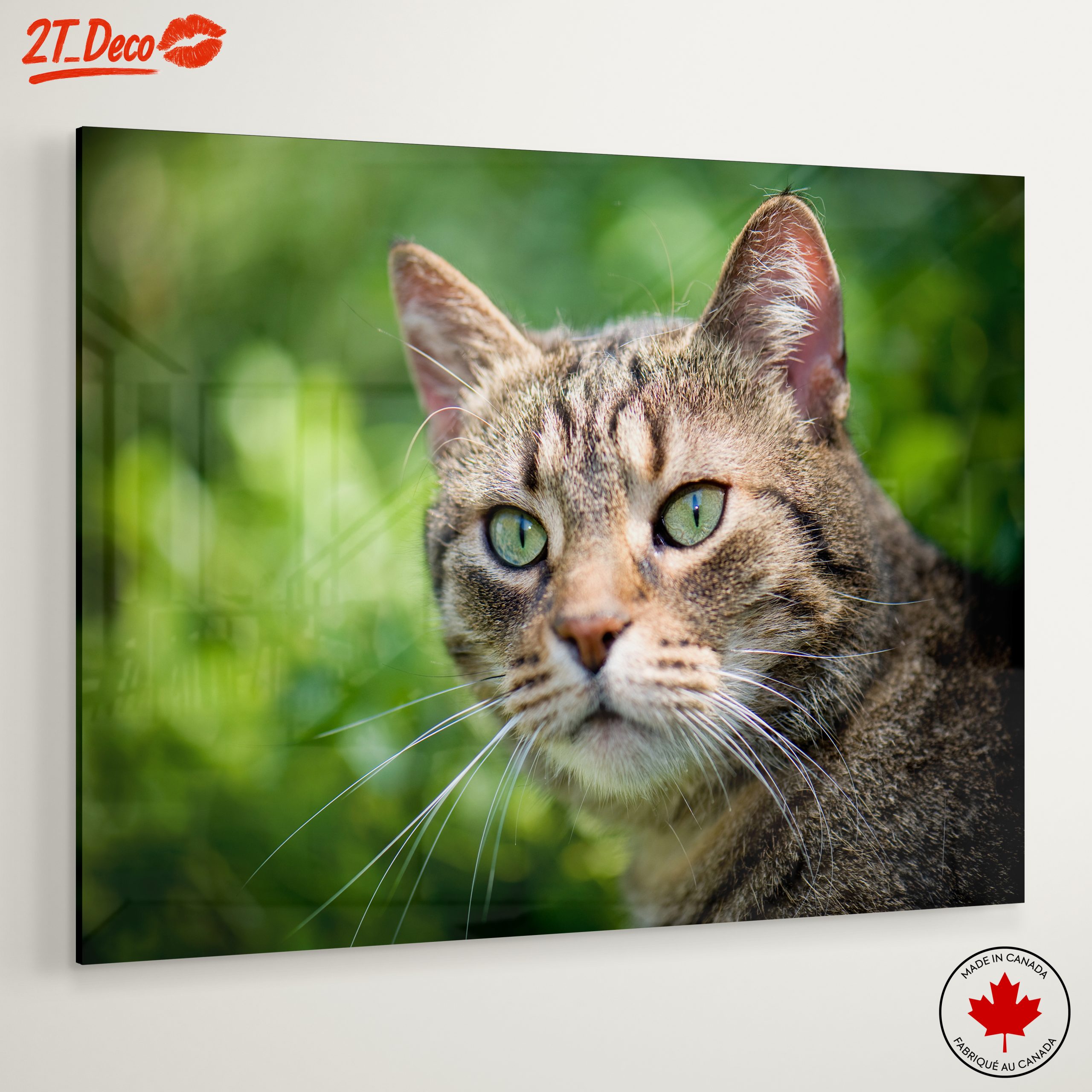 Stunning Cat Portrait In Nature - Image 6