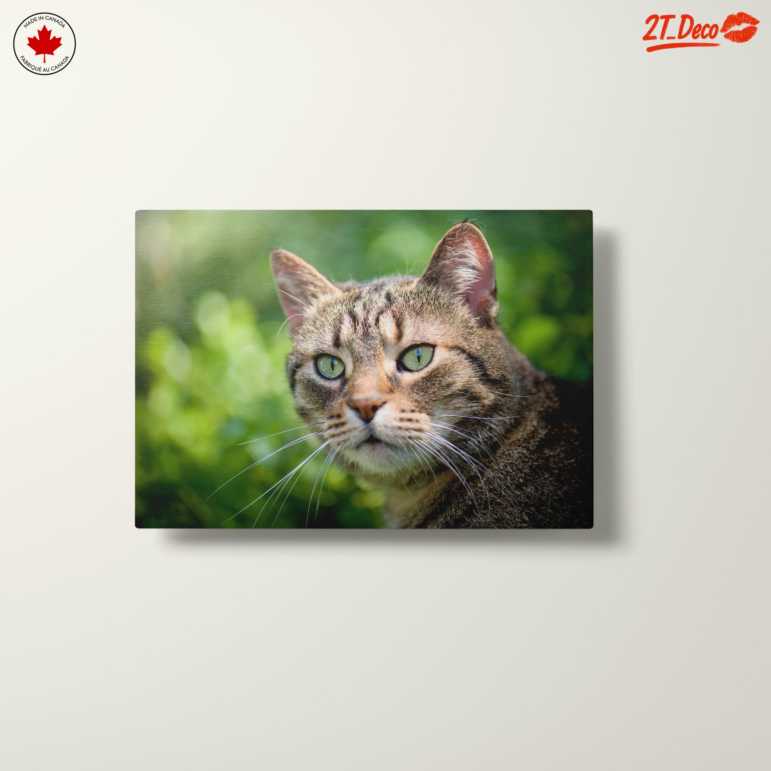 Stunning Cat Portrait In Nature - Image 10