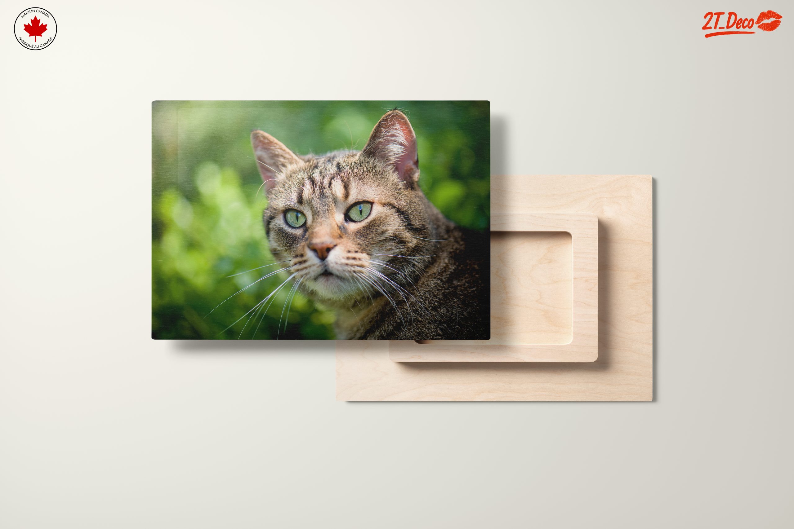 Stunning Cat Portrait In Nature - Image 11