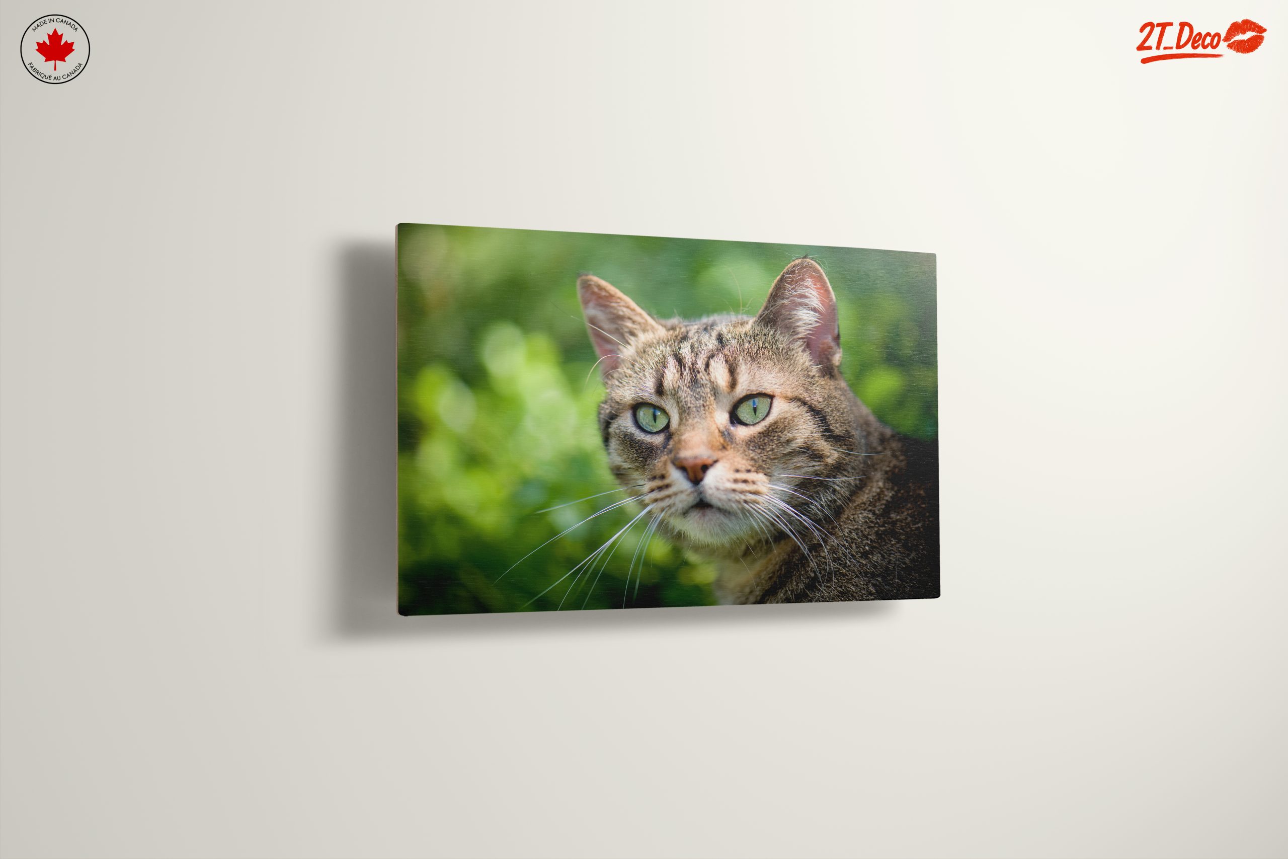 Stunning Cat Portrait In Nature - Image 13