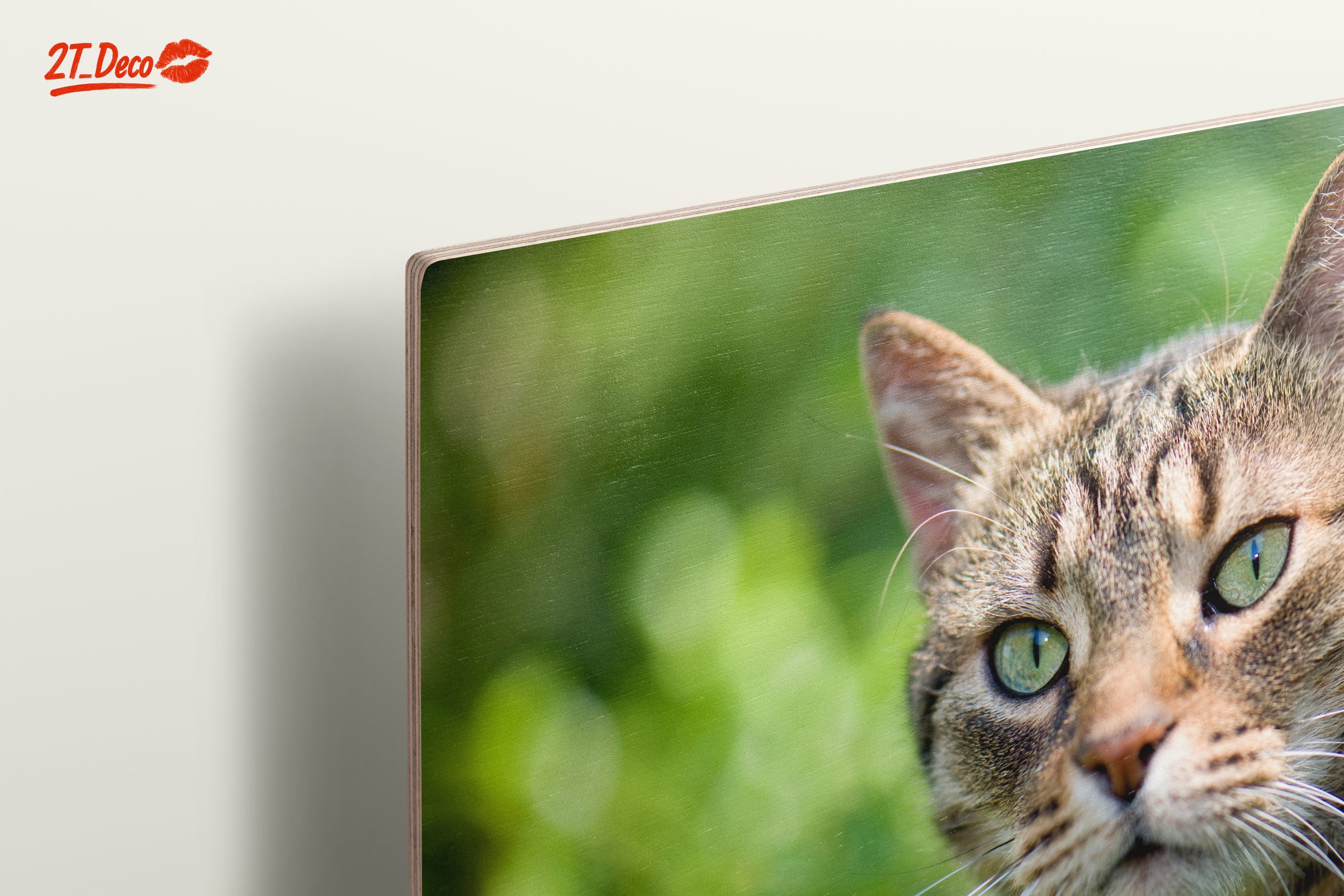 Stunning Cat Portrait In Nature - Image 15