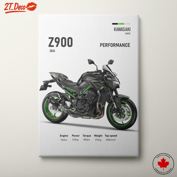 2024 Kawasaki Z900 Performance Motorcycle Art