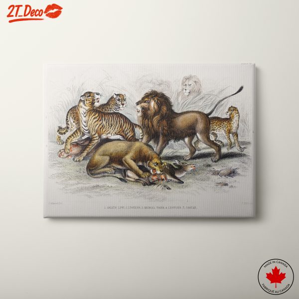 Dramatic Animals Artistic Representation