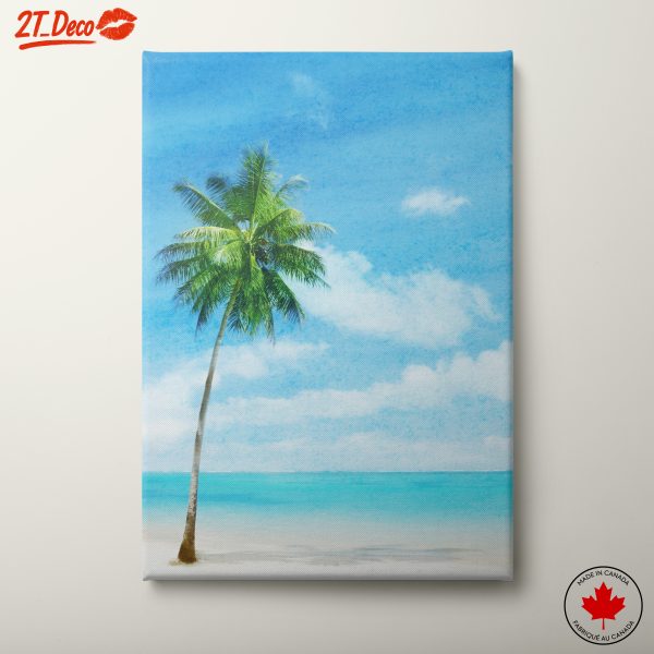 Palm Tree by the Beach Under Clear Blue Sky