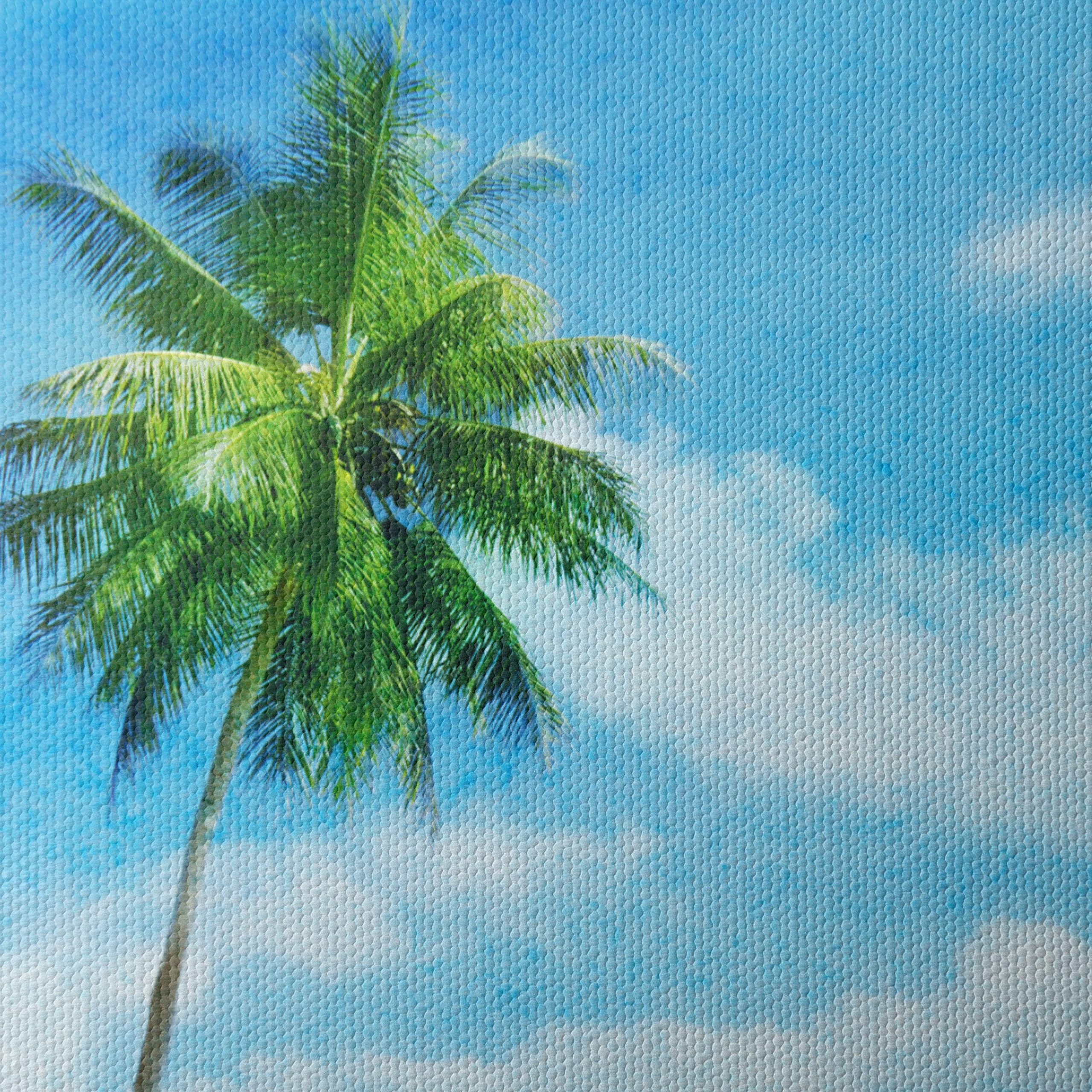 Palm Tree by the Beach Under Clear Blue Sky - Image 4