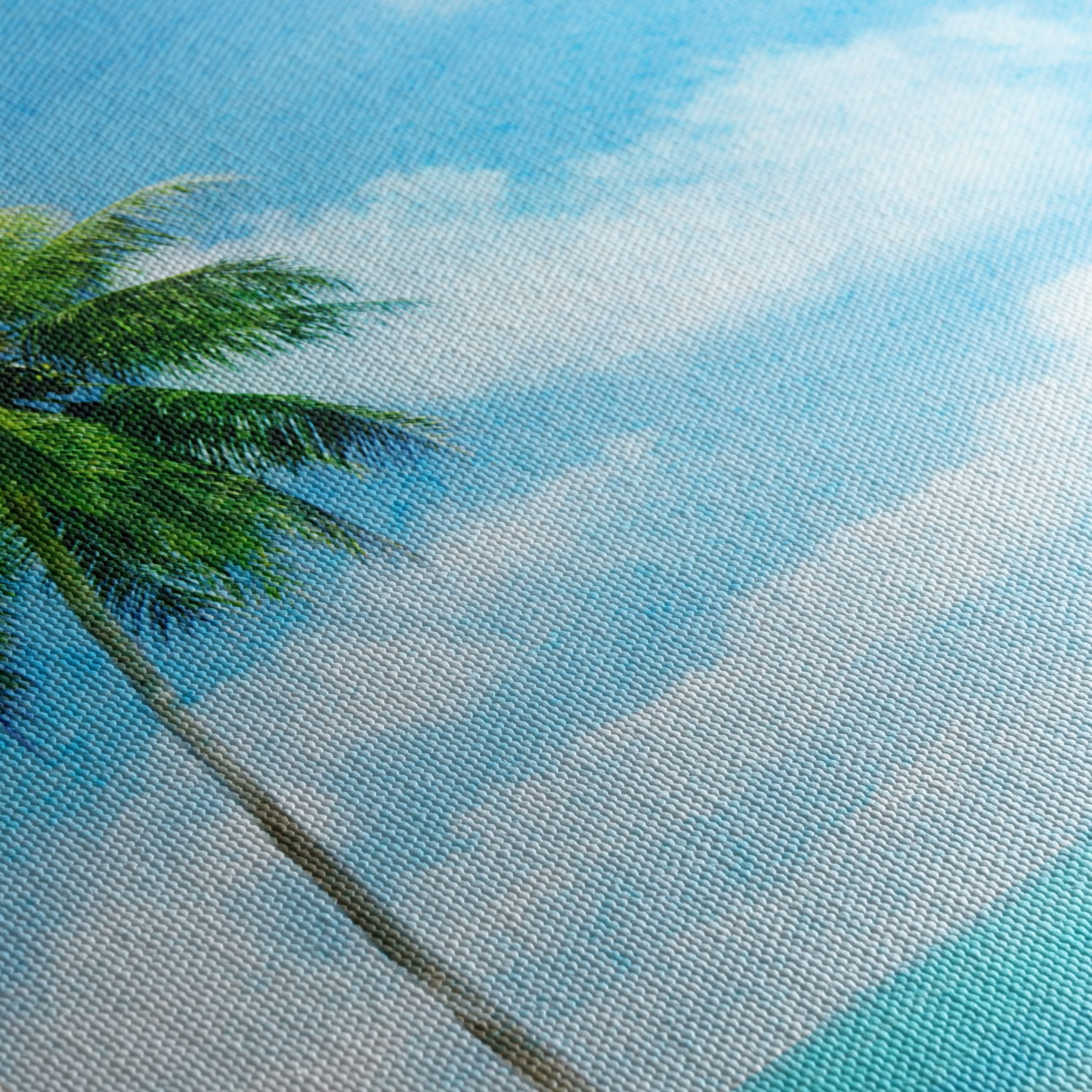 Palm Tree by the Beach Under Clear Blue Sky - Image 5