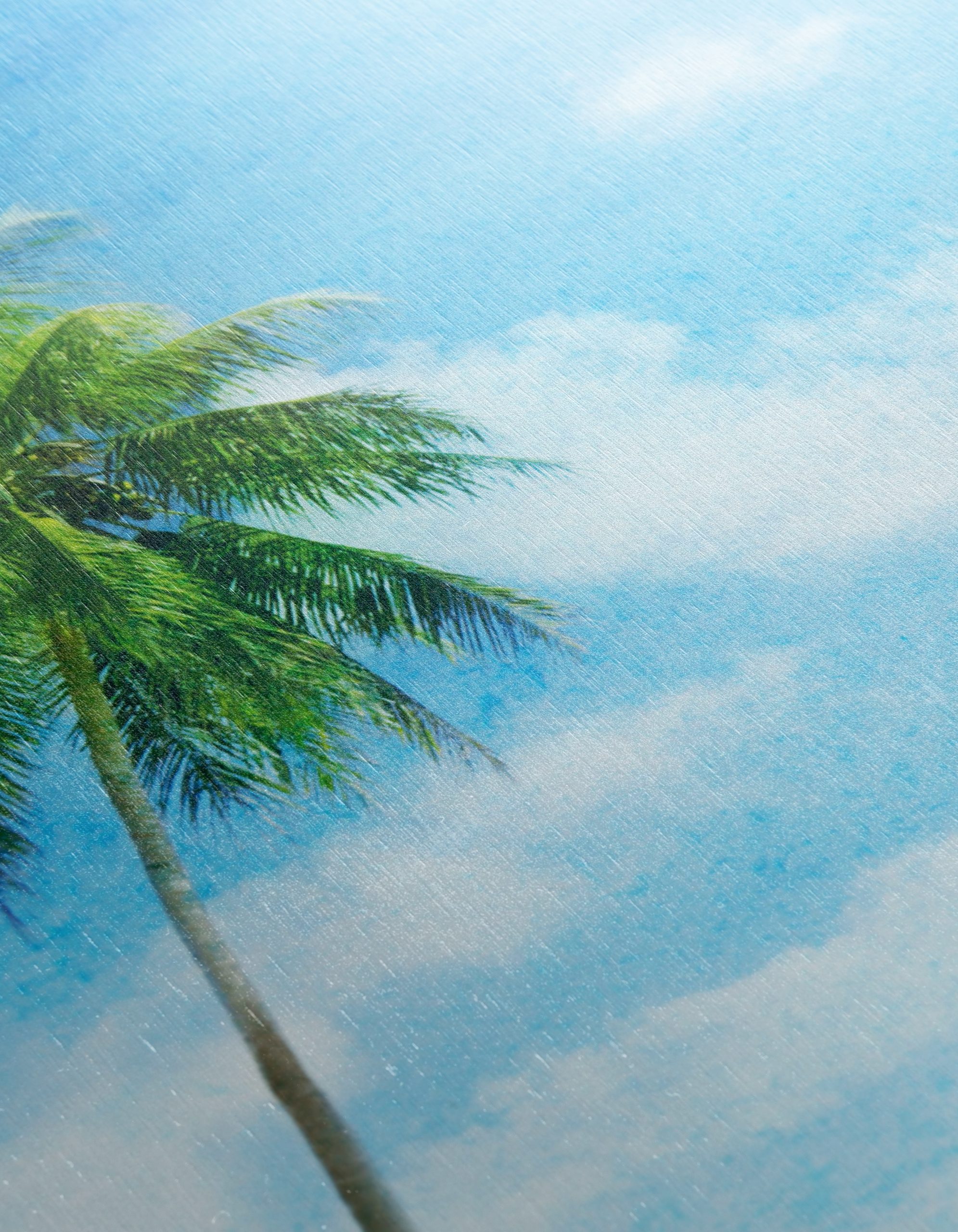 Palm Tree by the Beach Under Clear Blue Sky - Image 12