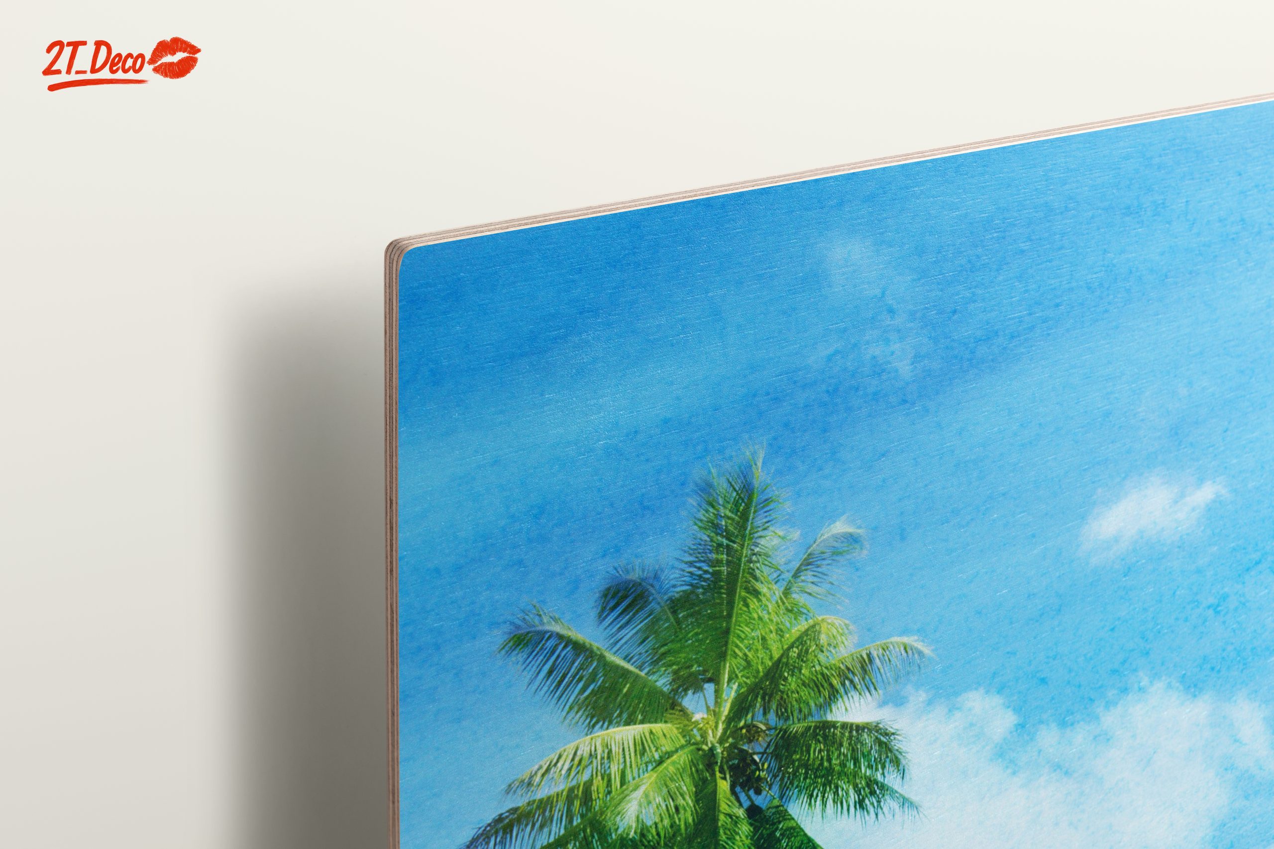 Palm Tree by the Beach Under Clear Blue Sky - Image 15