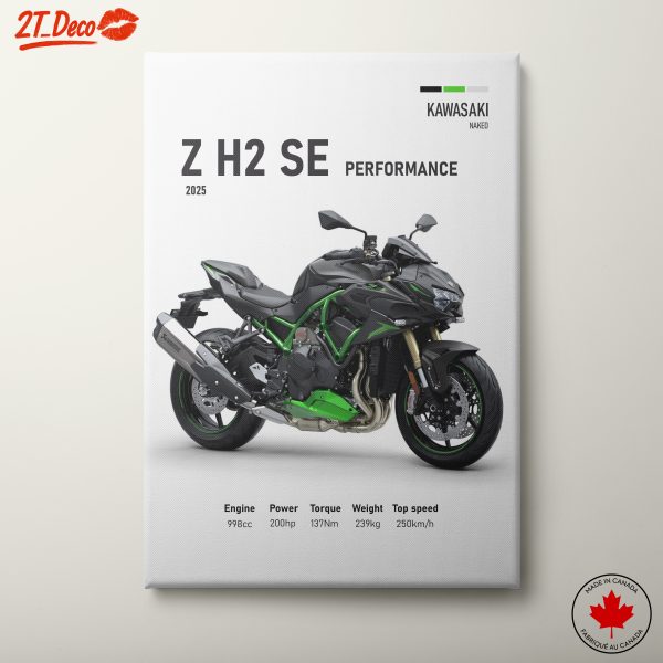 Kawasaki Z H2 SE Performance Motorcycle Art