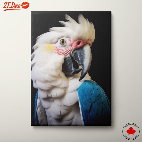 Beautiful Bird with Vibrant Feathers