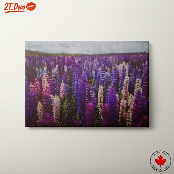 Vibrant Flower Field in Bloom