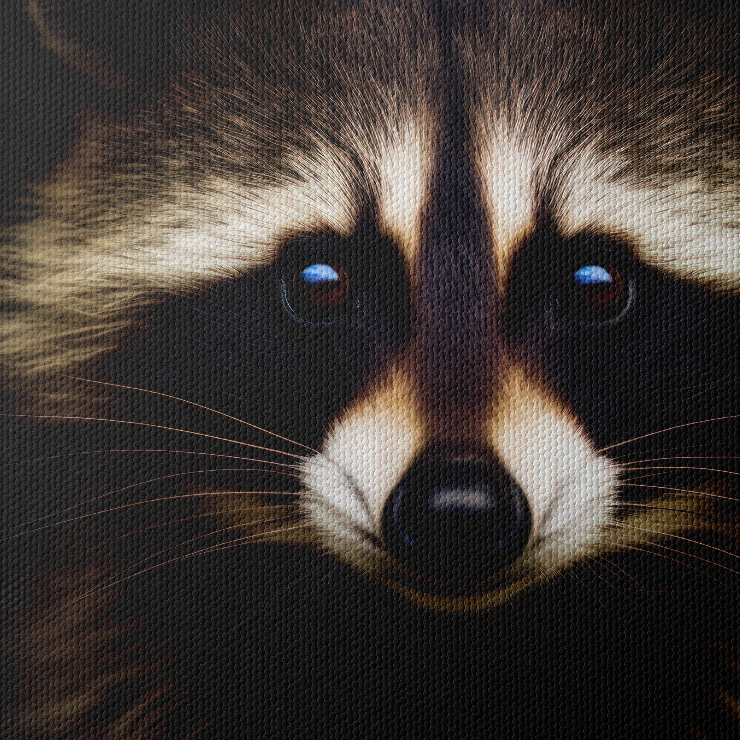 Captivating Raccoon Portrait - Image 4