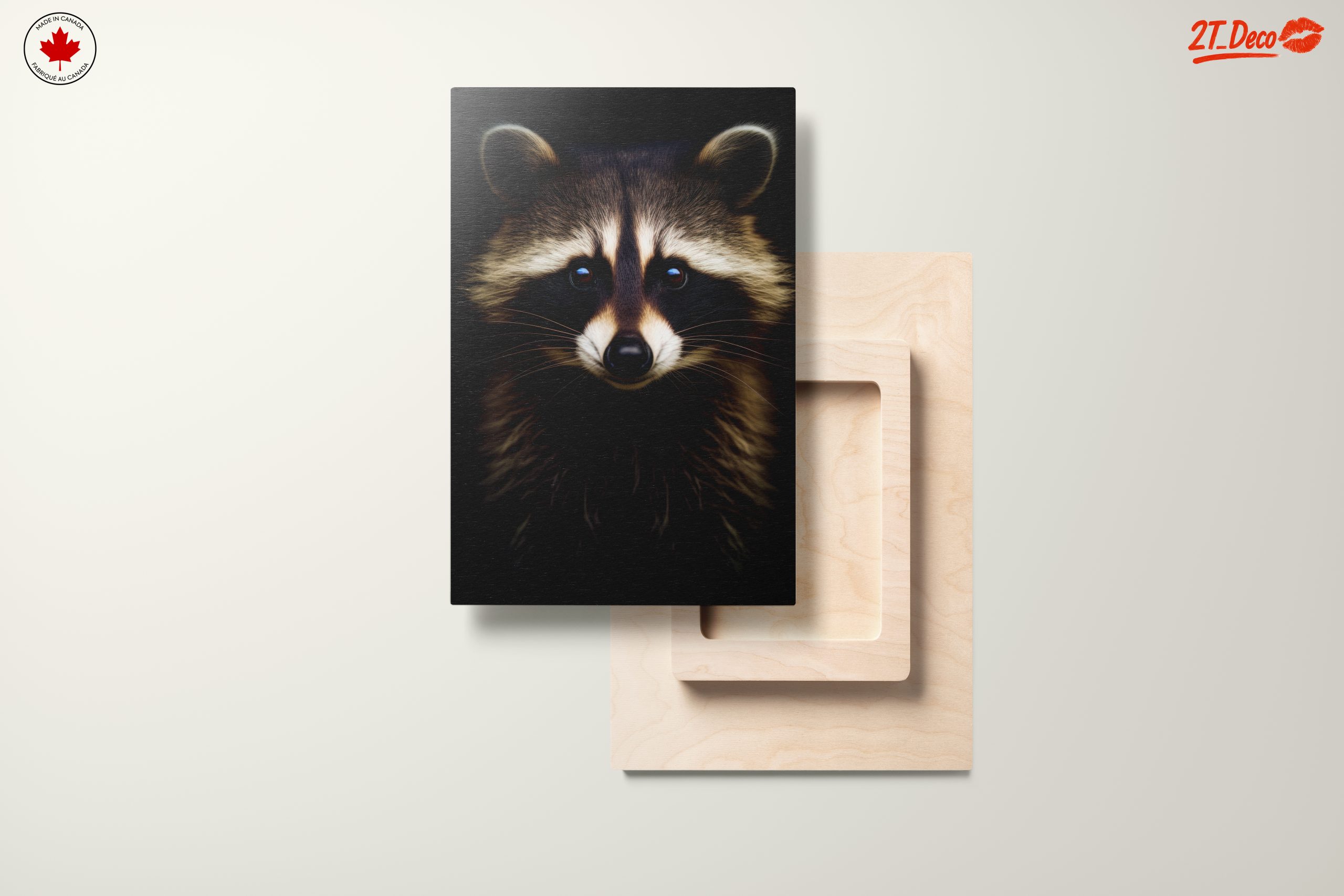 Captivating Raccoon Portrait - Image 11