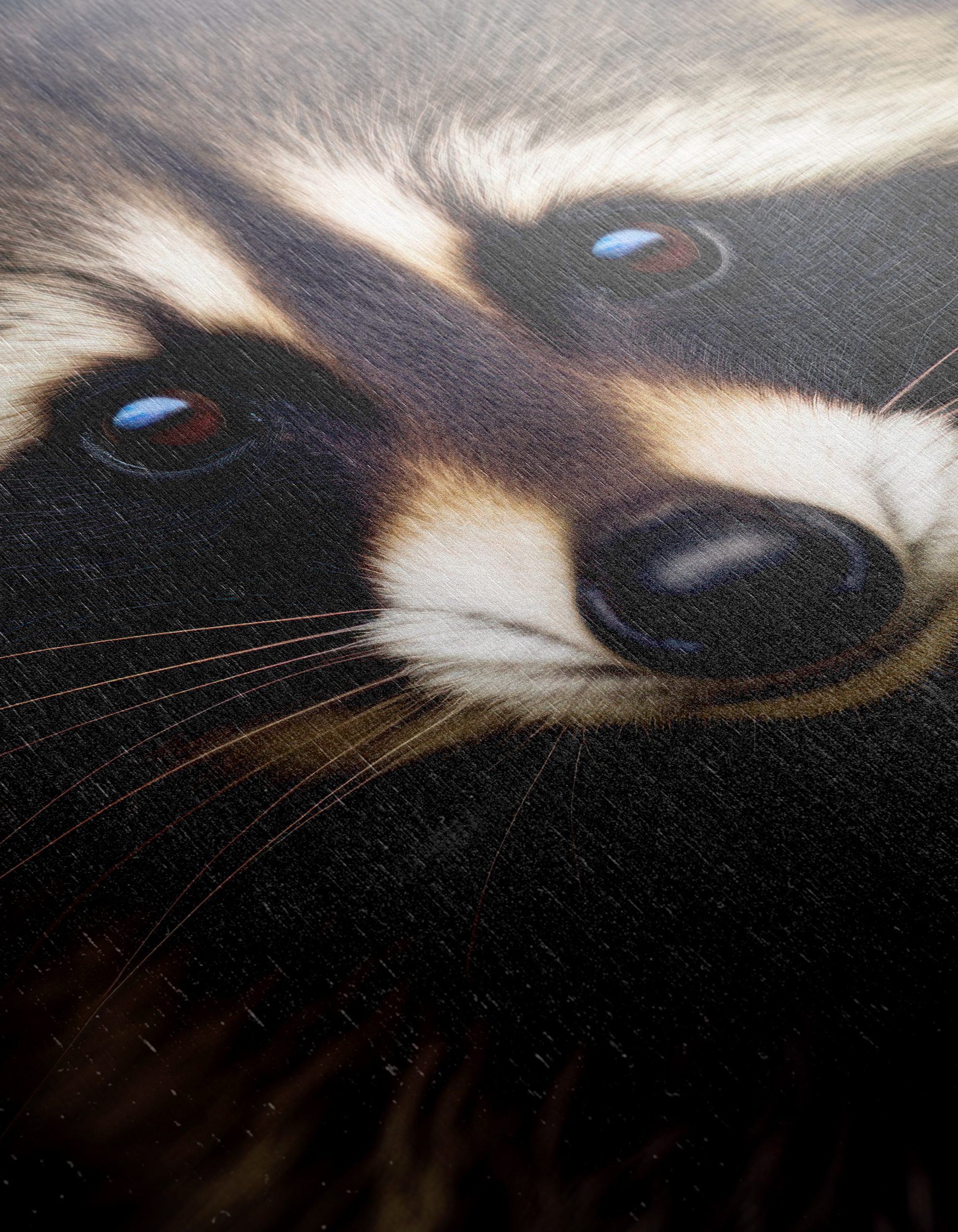 Captivating Raccoon Portrait - Image 12