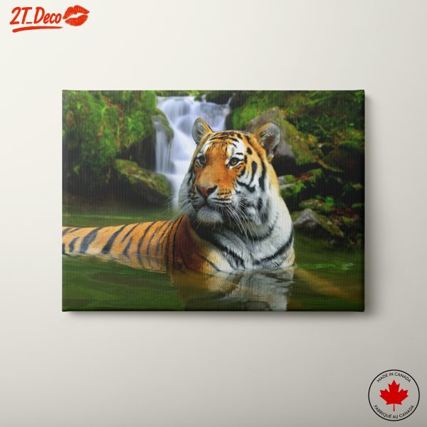 Majestic Tiger in Natural Habitat