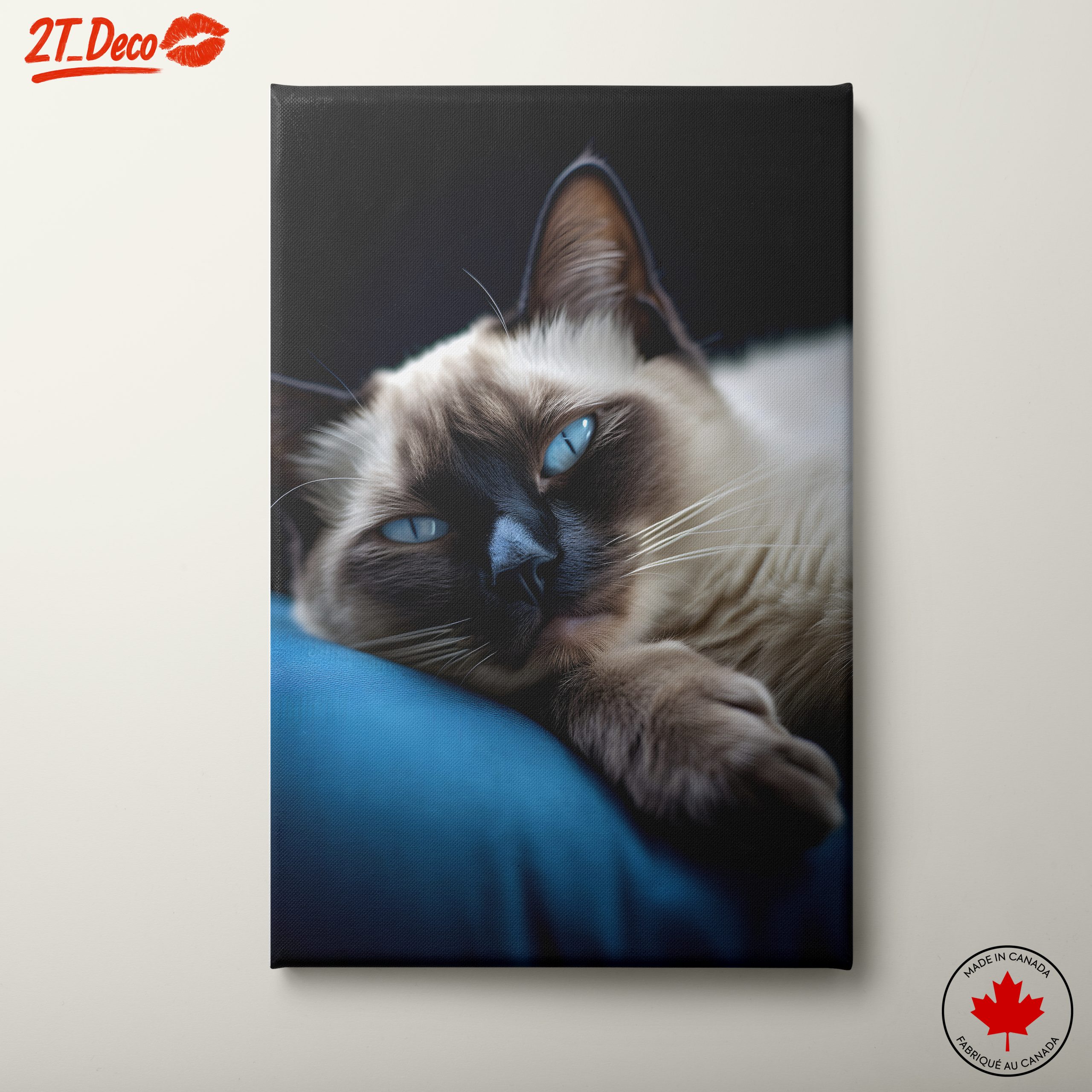Calm Cat Lying on a Cushion