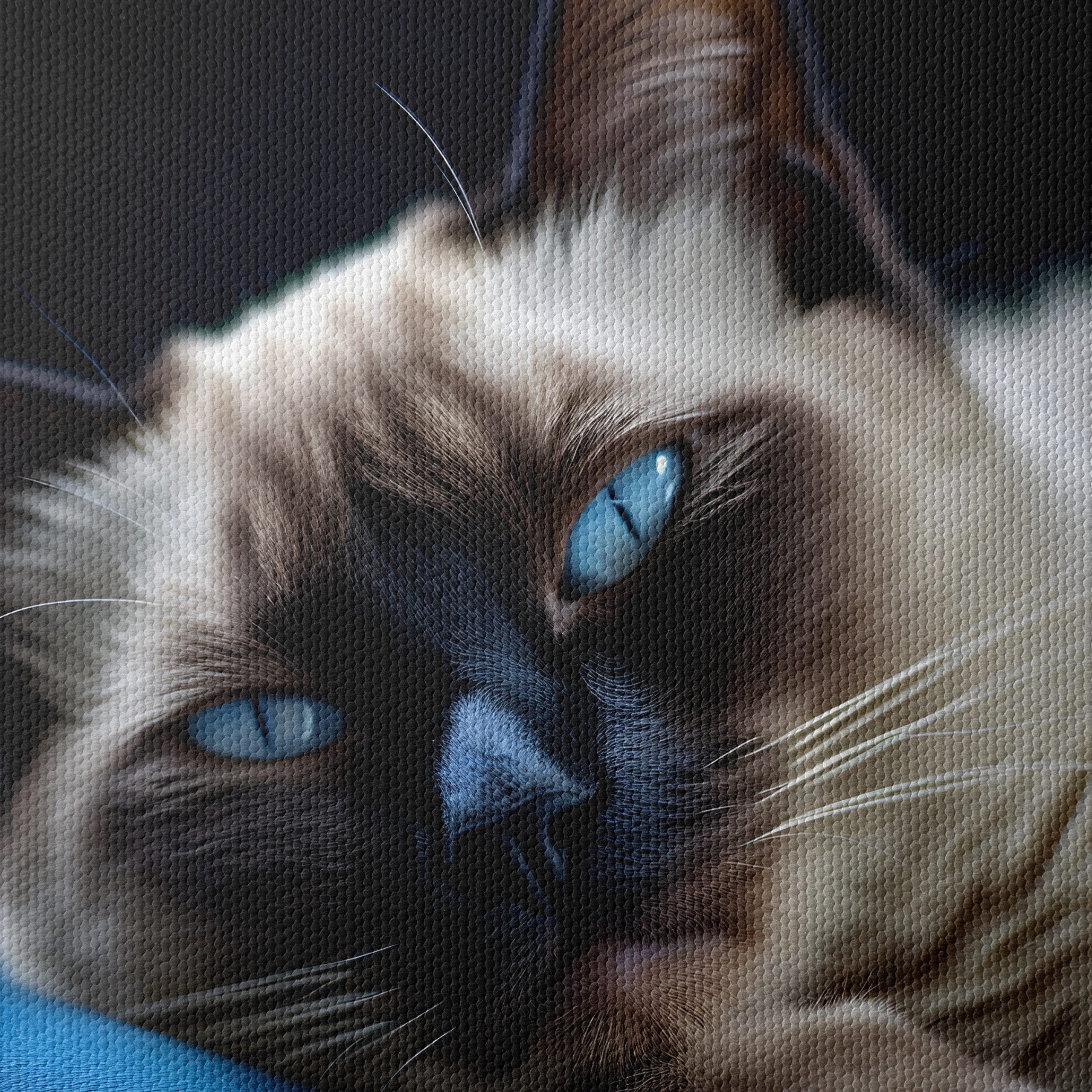 Calm Cat Lying on a Cushion - Image 4