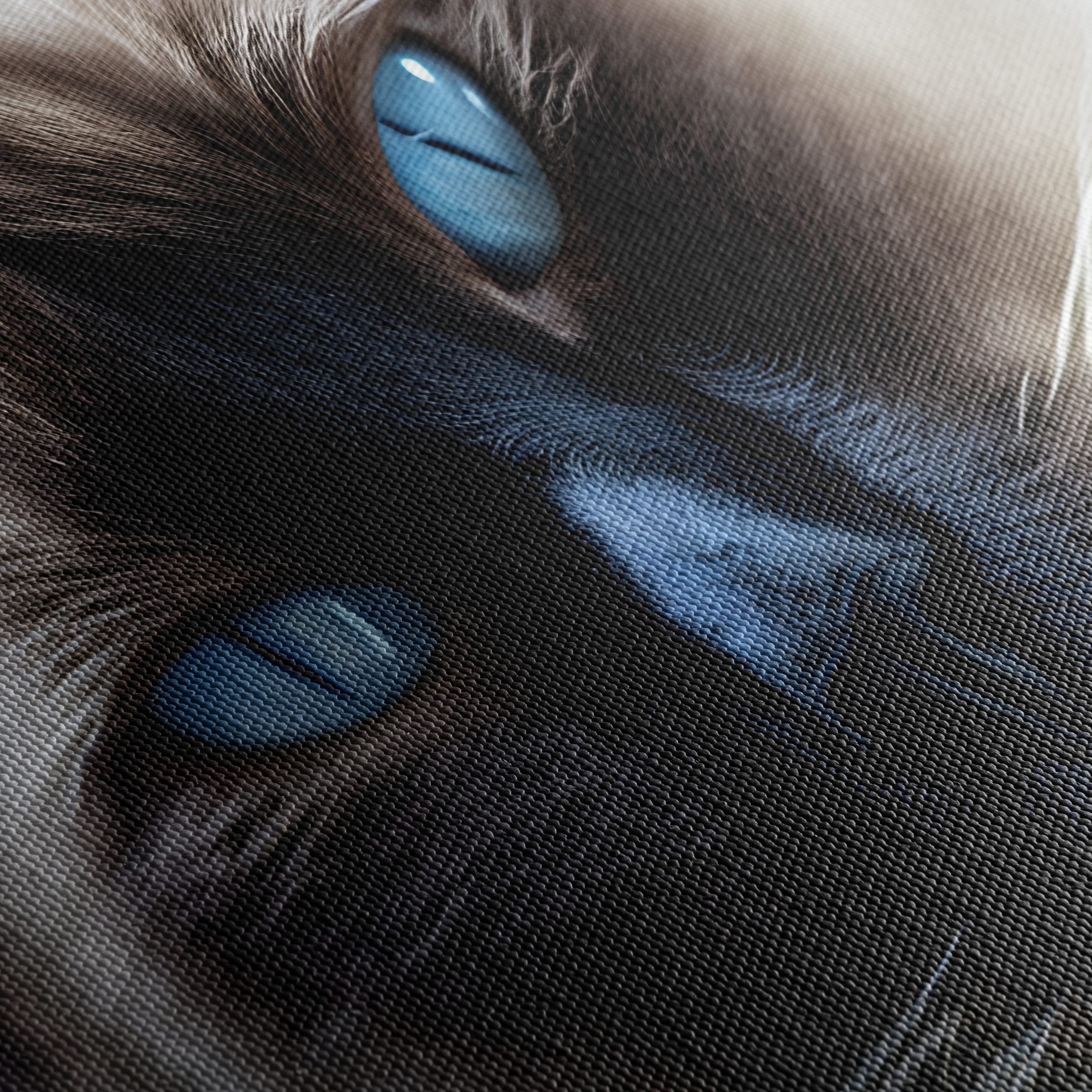 Calm Cat Lying on a Cushion - Image 5