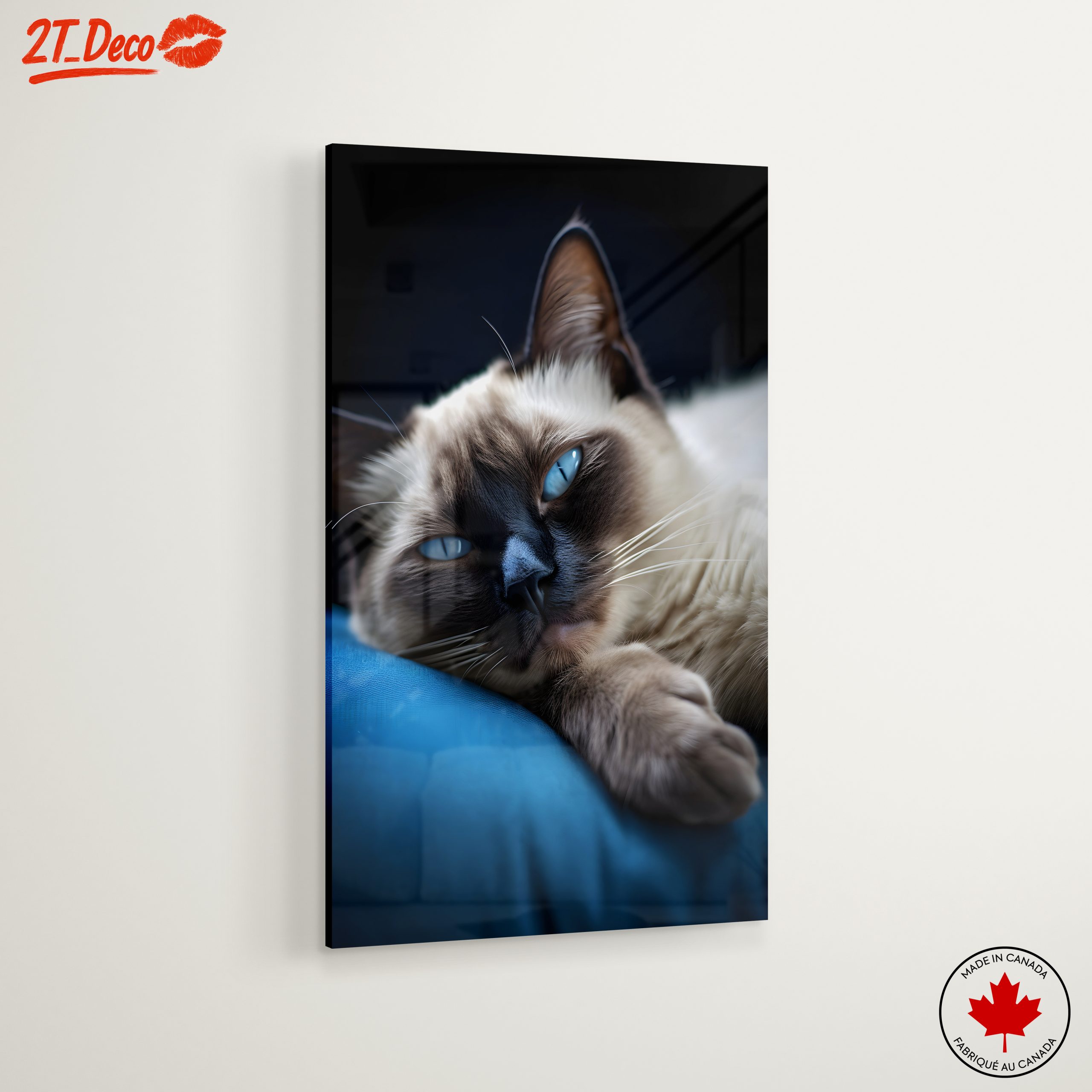 Calm Cat Lying on a Cushion - Image 6