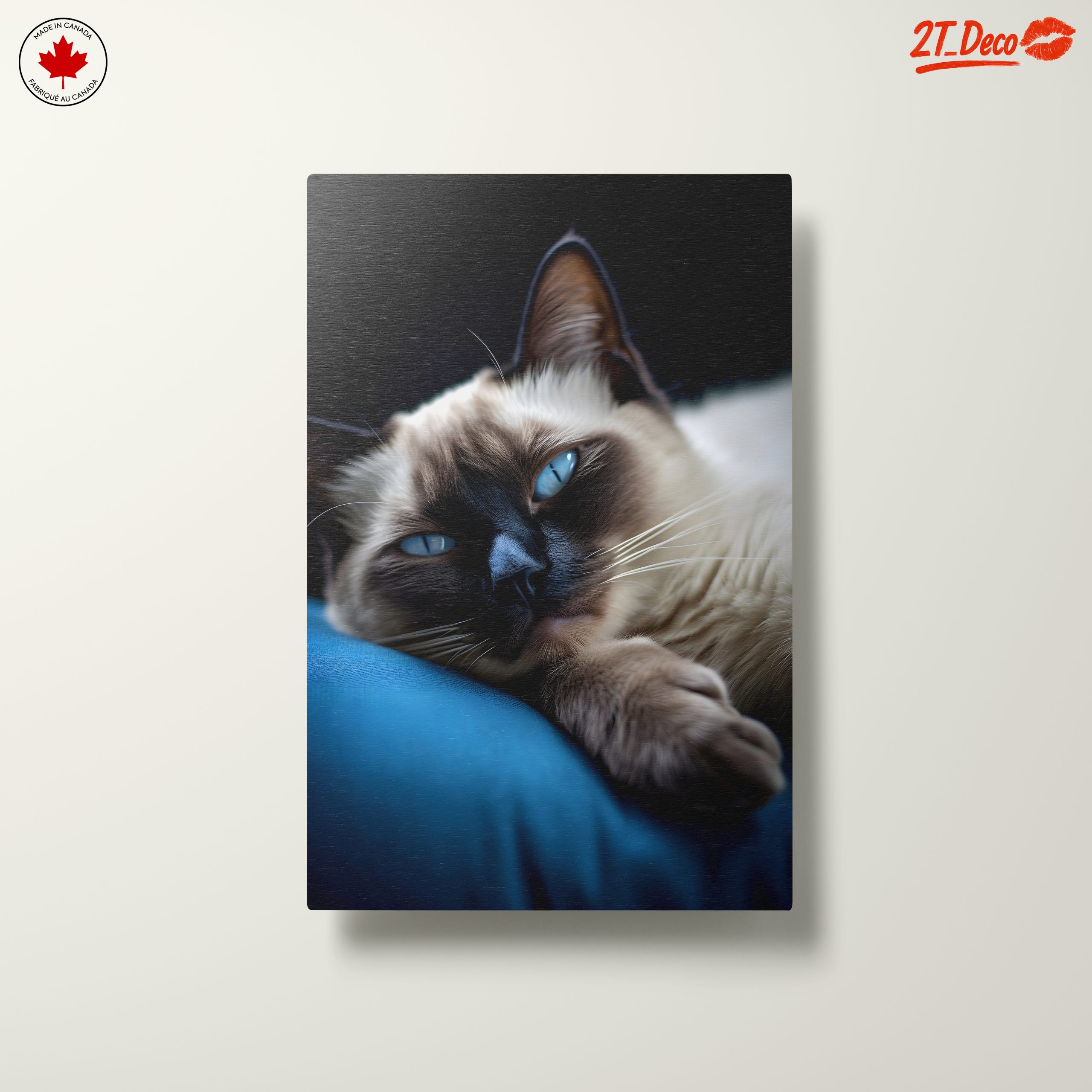 Calm Cat Lying on a Cushion - Image 10