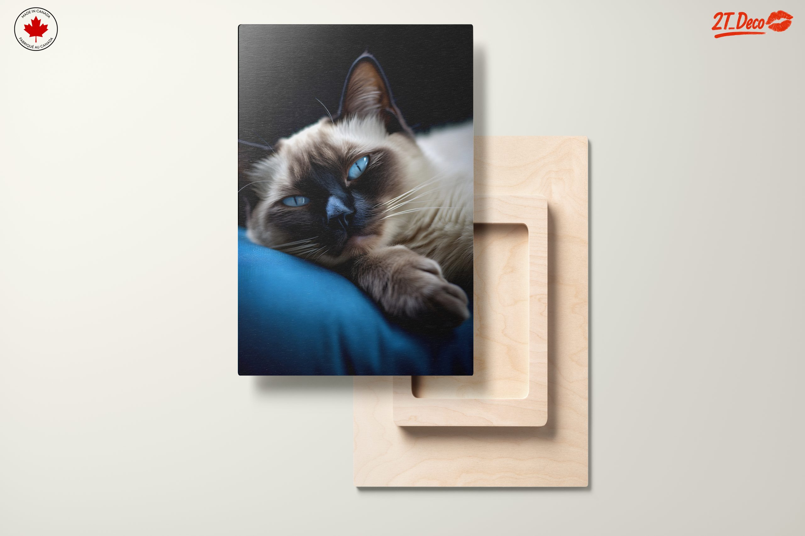 Calm Cat Lying on a Cushion - Image 11