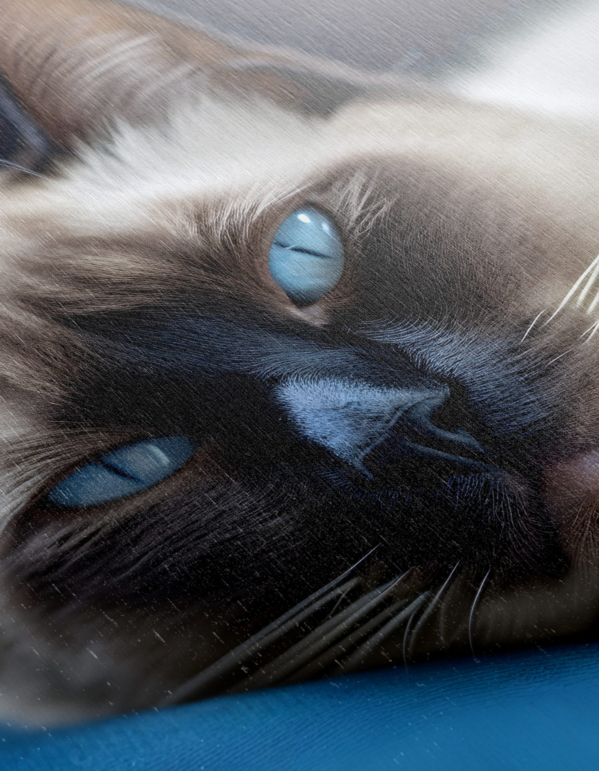 Calm Cat Lying on a Cushion - Image 12