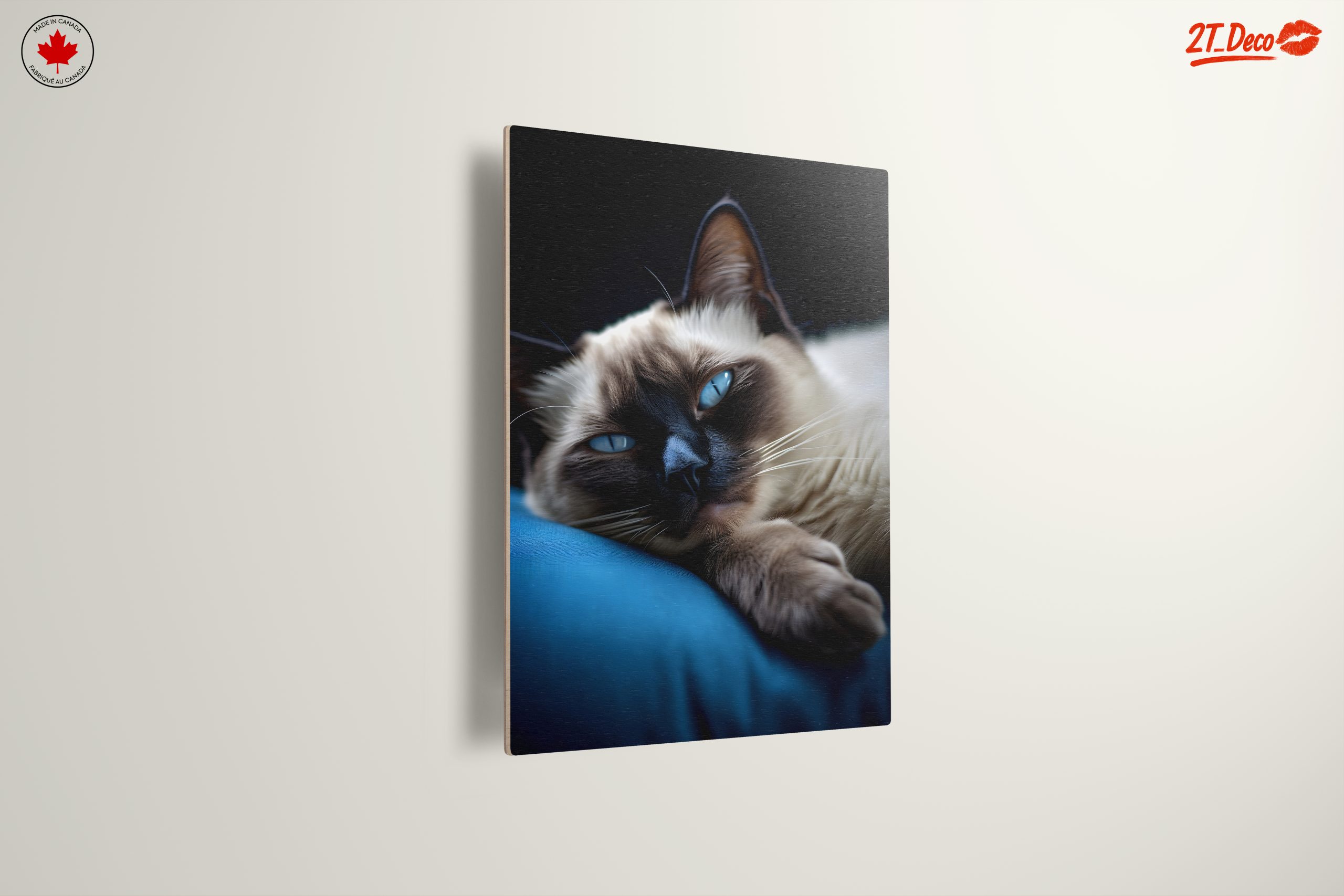 Calm Cat Lying on a Cushion - Image 13
