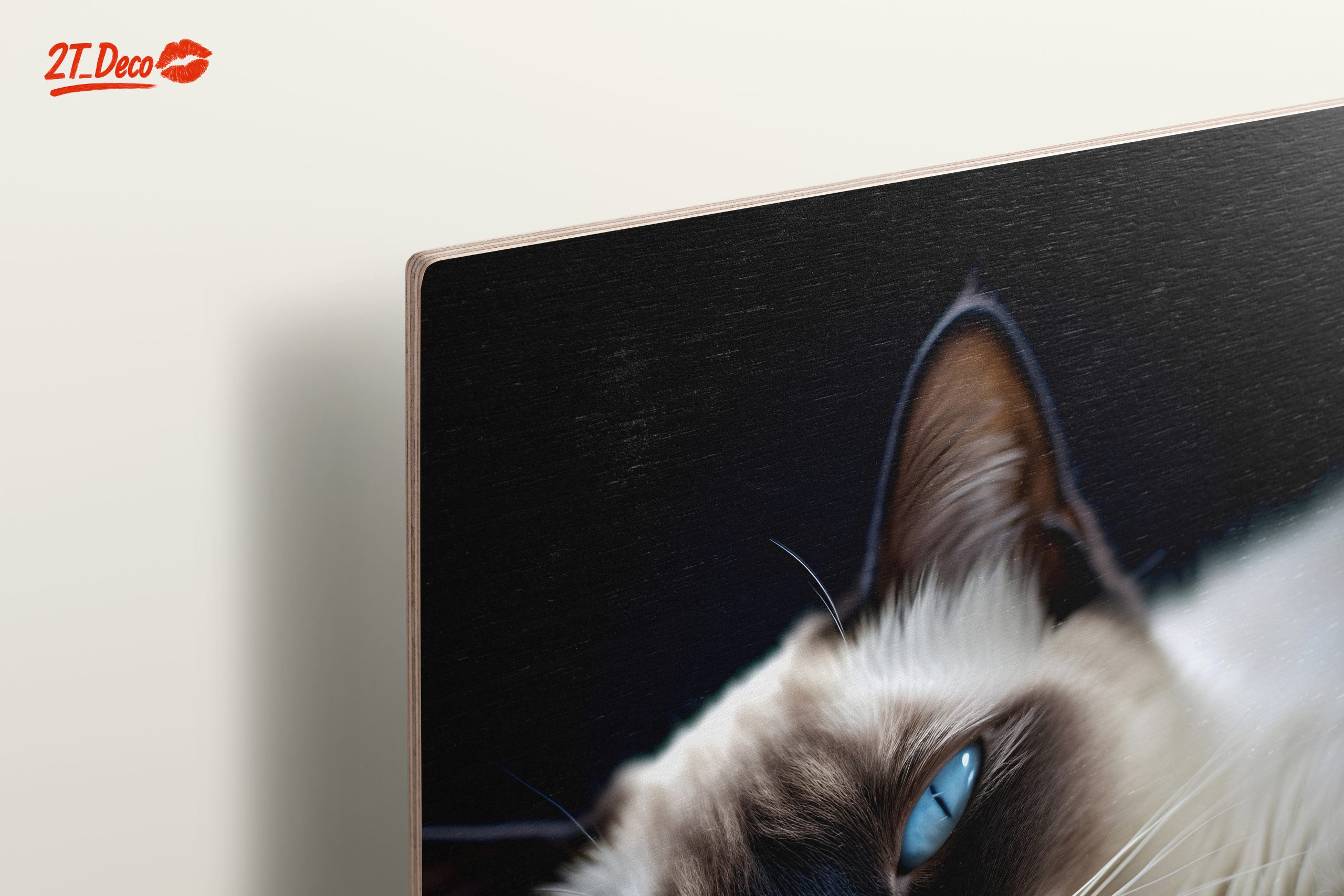 Calm Cat Lying on a Cushion - Image 15