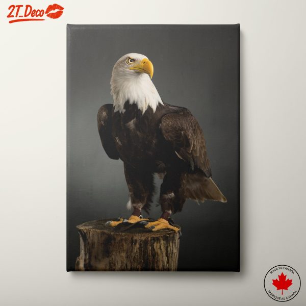 Stunning Eagle Wall Art