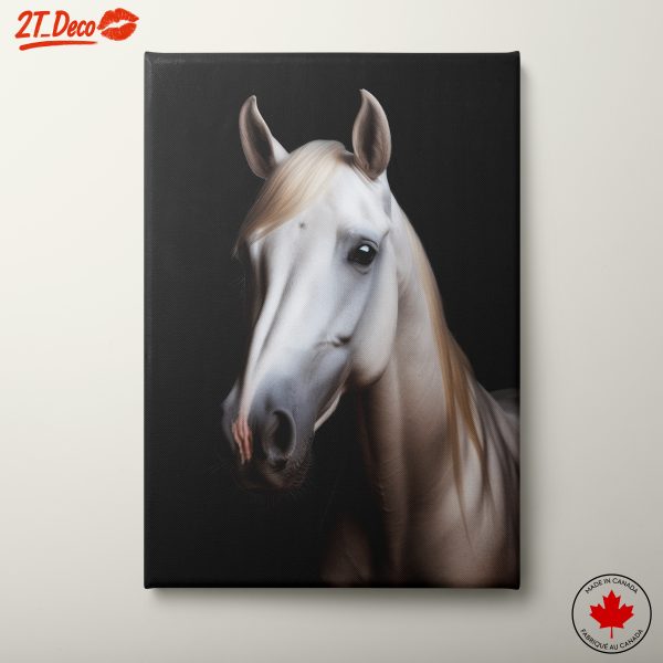 Majestic Horse Portrait Against Black Background
