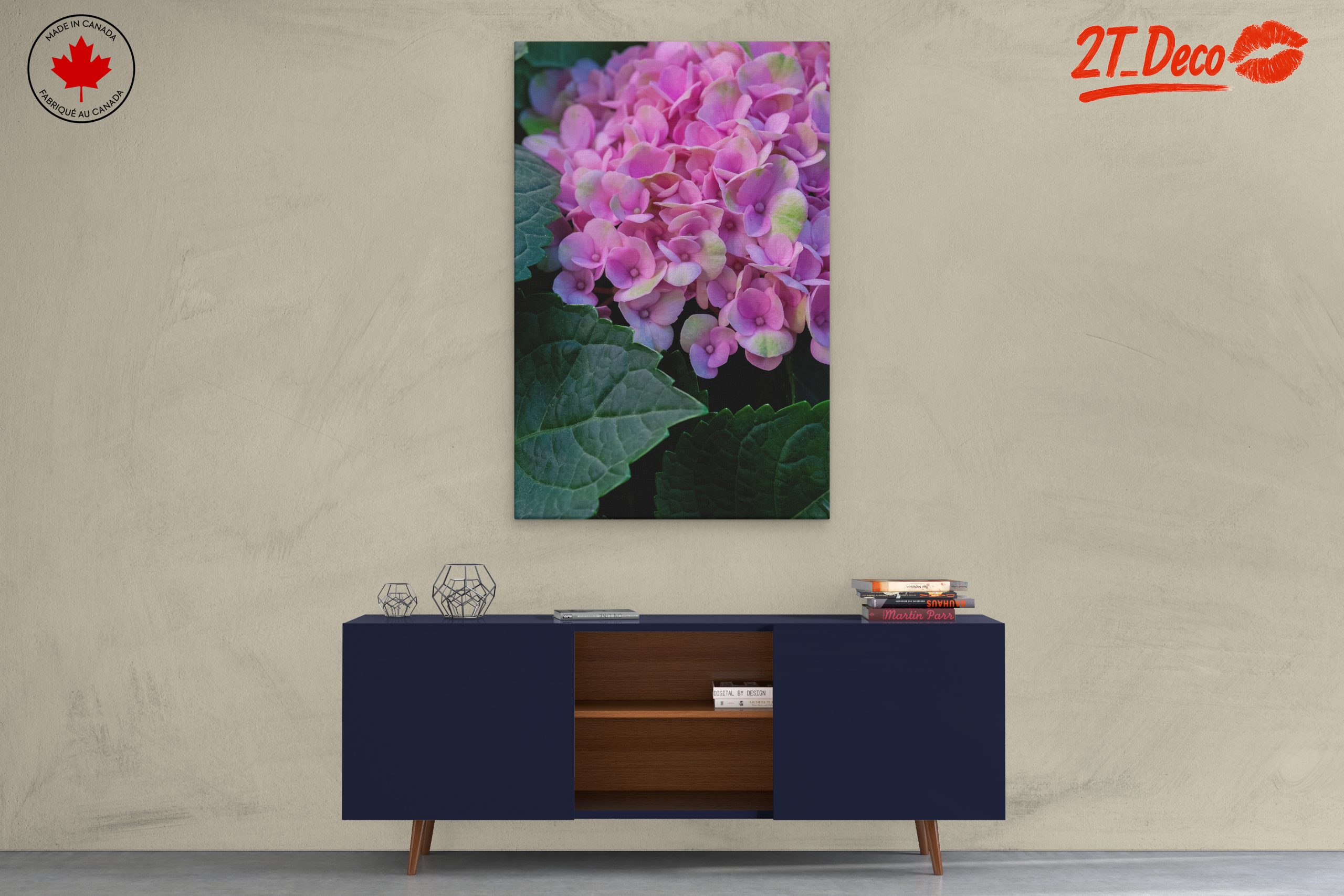 Hydrangea Flowers Close-Up Photography - Image 3