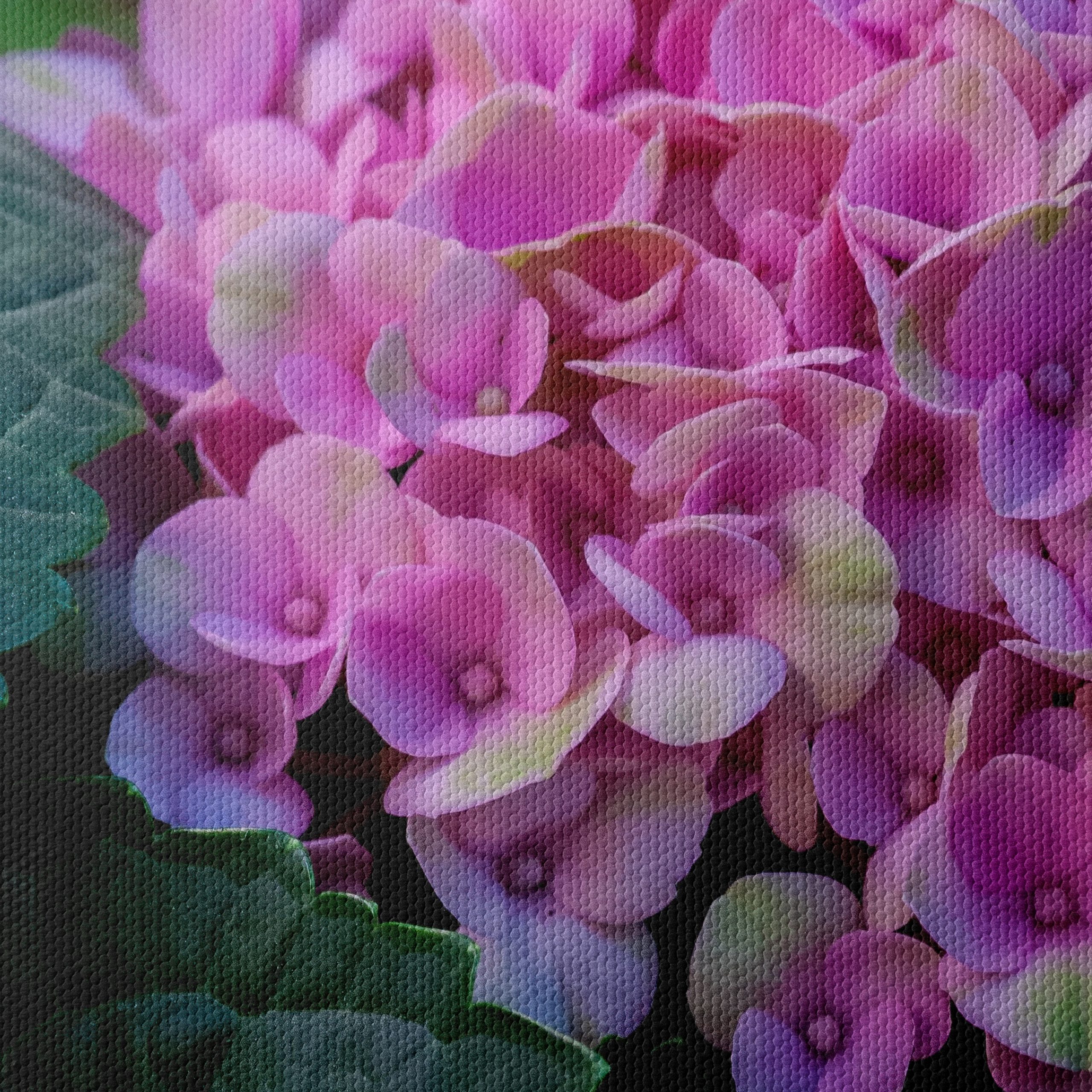 Hydrangea Flowers Close-Up Photography - Image 4